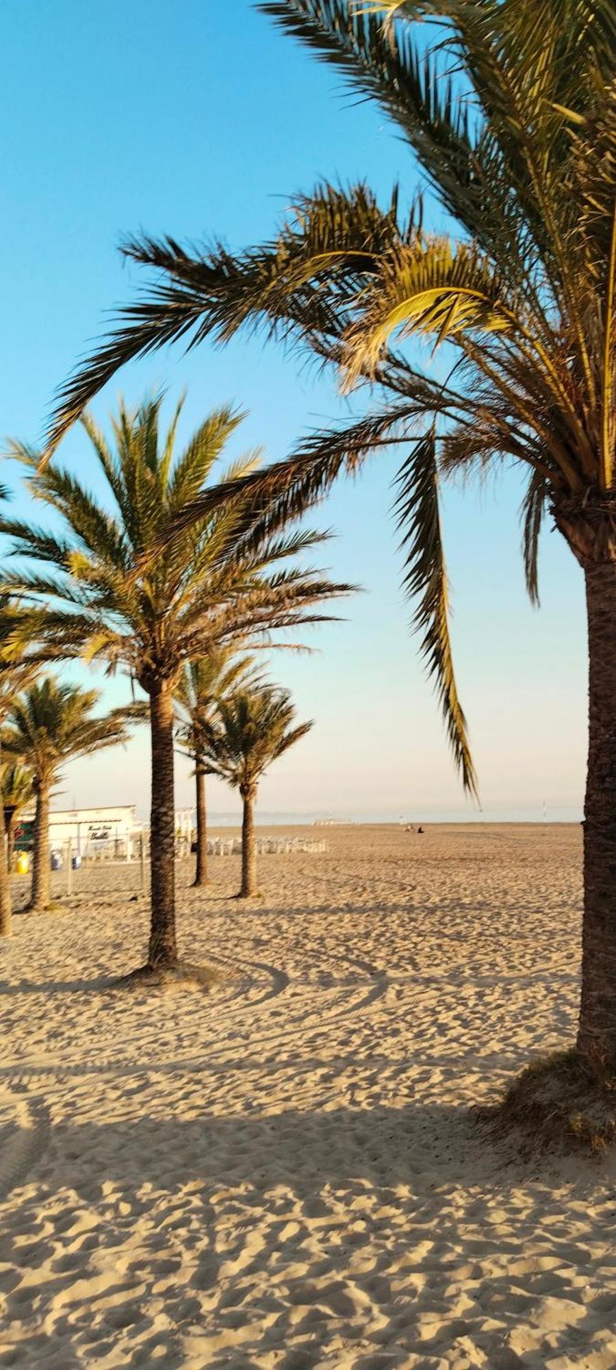 Playa Gandia Al Moli Santamaria Playa de Gandia