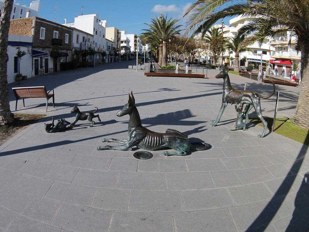 Guest house Mayol 2*