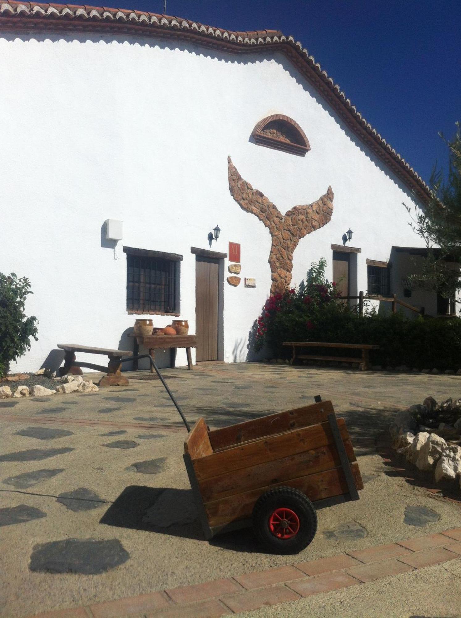 Cuevas Hammam Abuelo Jose * Purullena