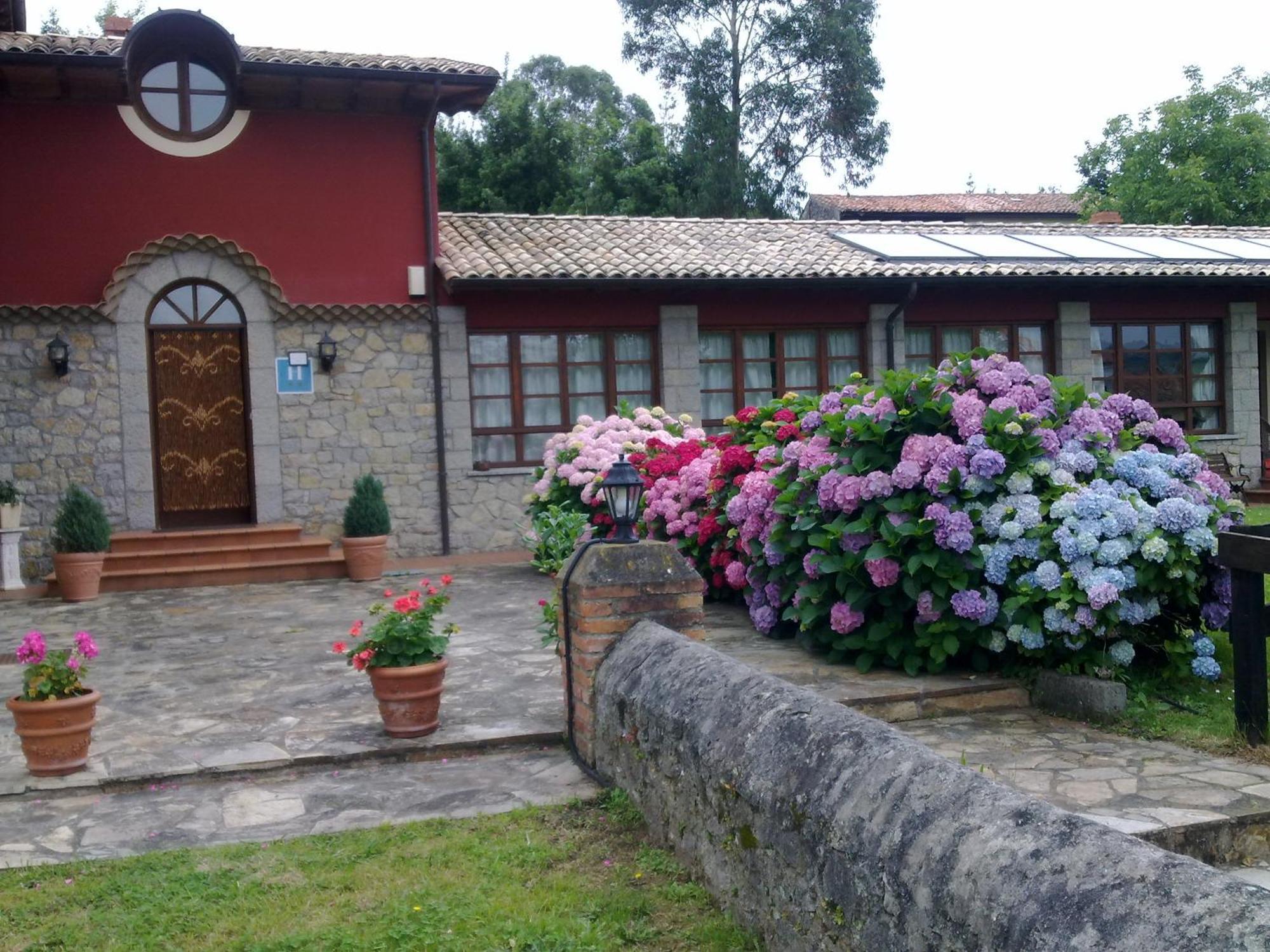 Rural Ovio