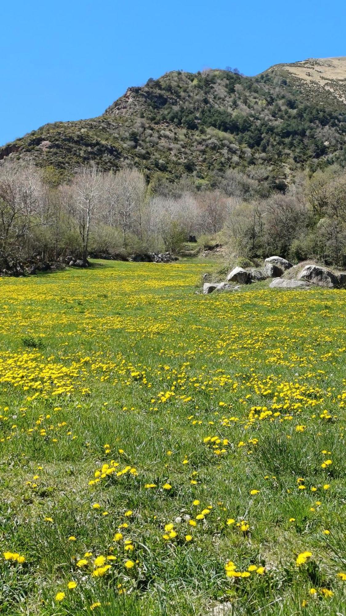 Apartamento L´era De Baix *