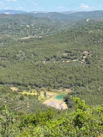 La Alcornocosa * El Castillo de las Guardas