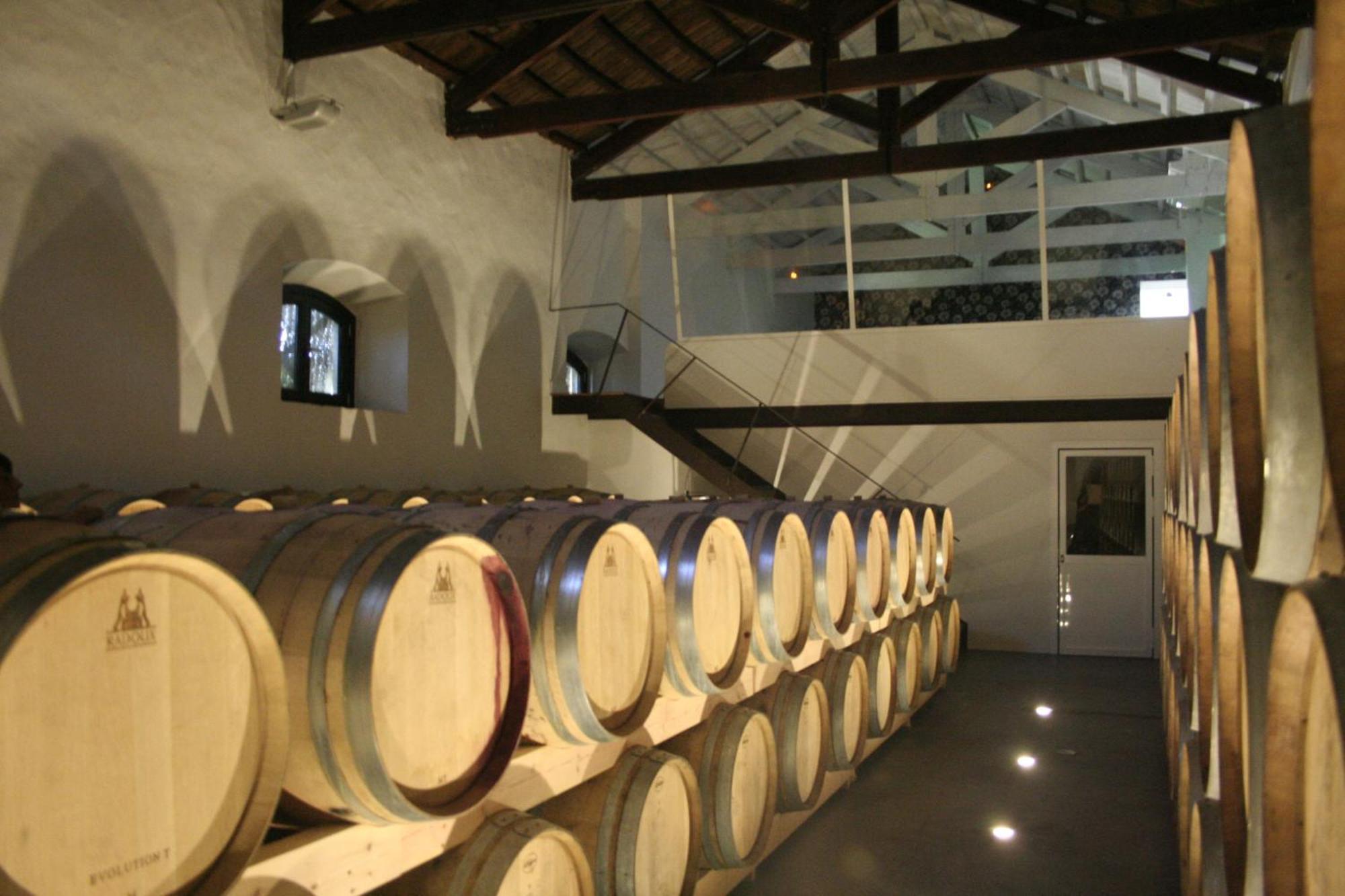 Bodega El Juncal