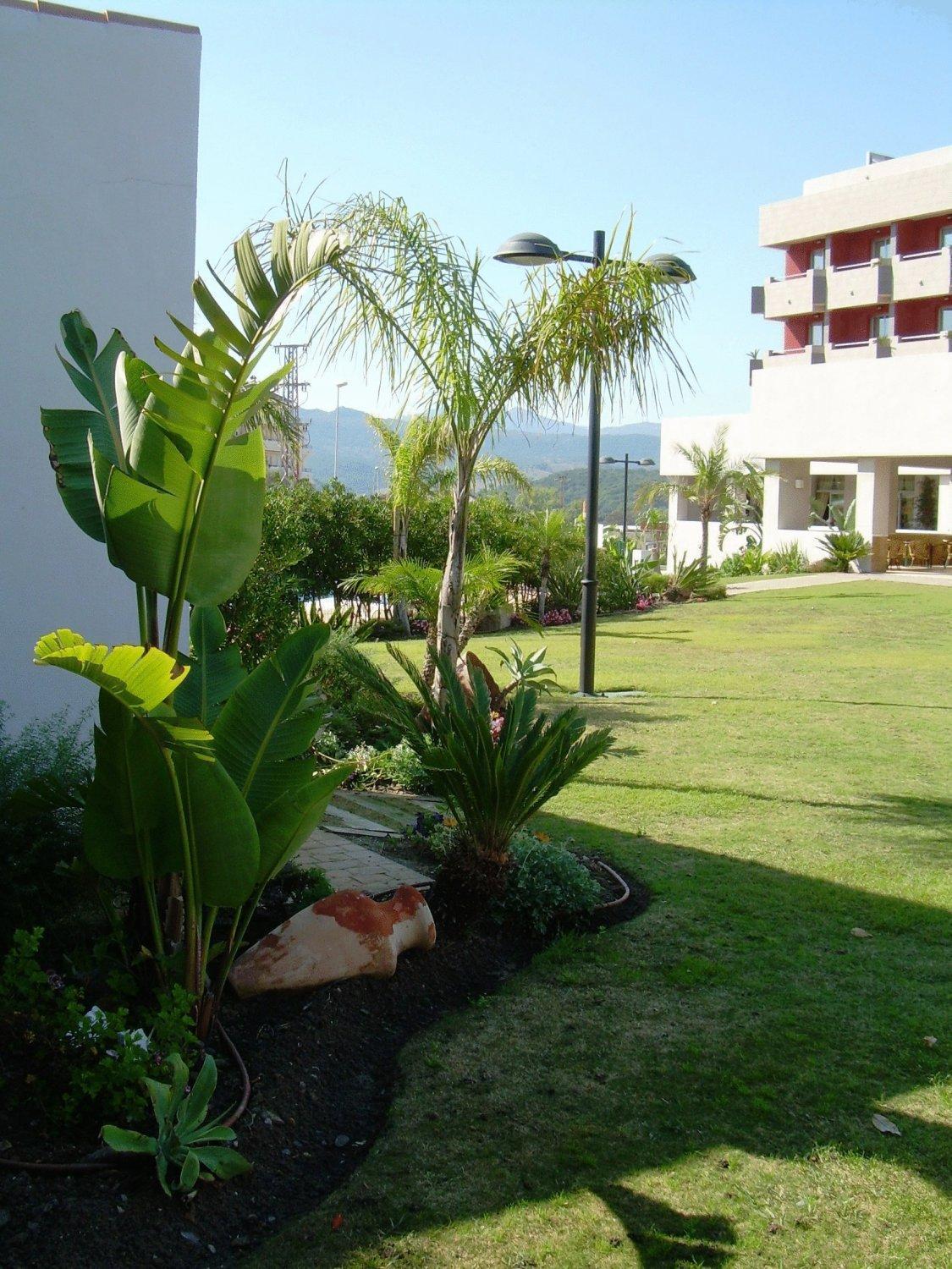 Montera Plaza Los Barrios