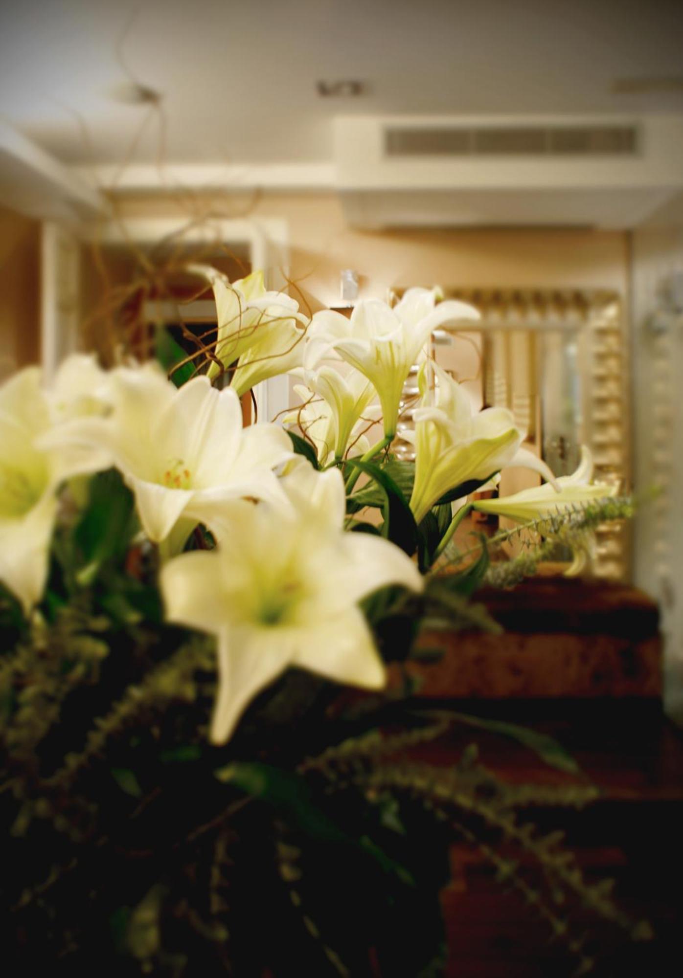 Guest house Casa Boutique Barcelona