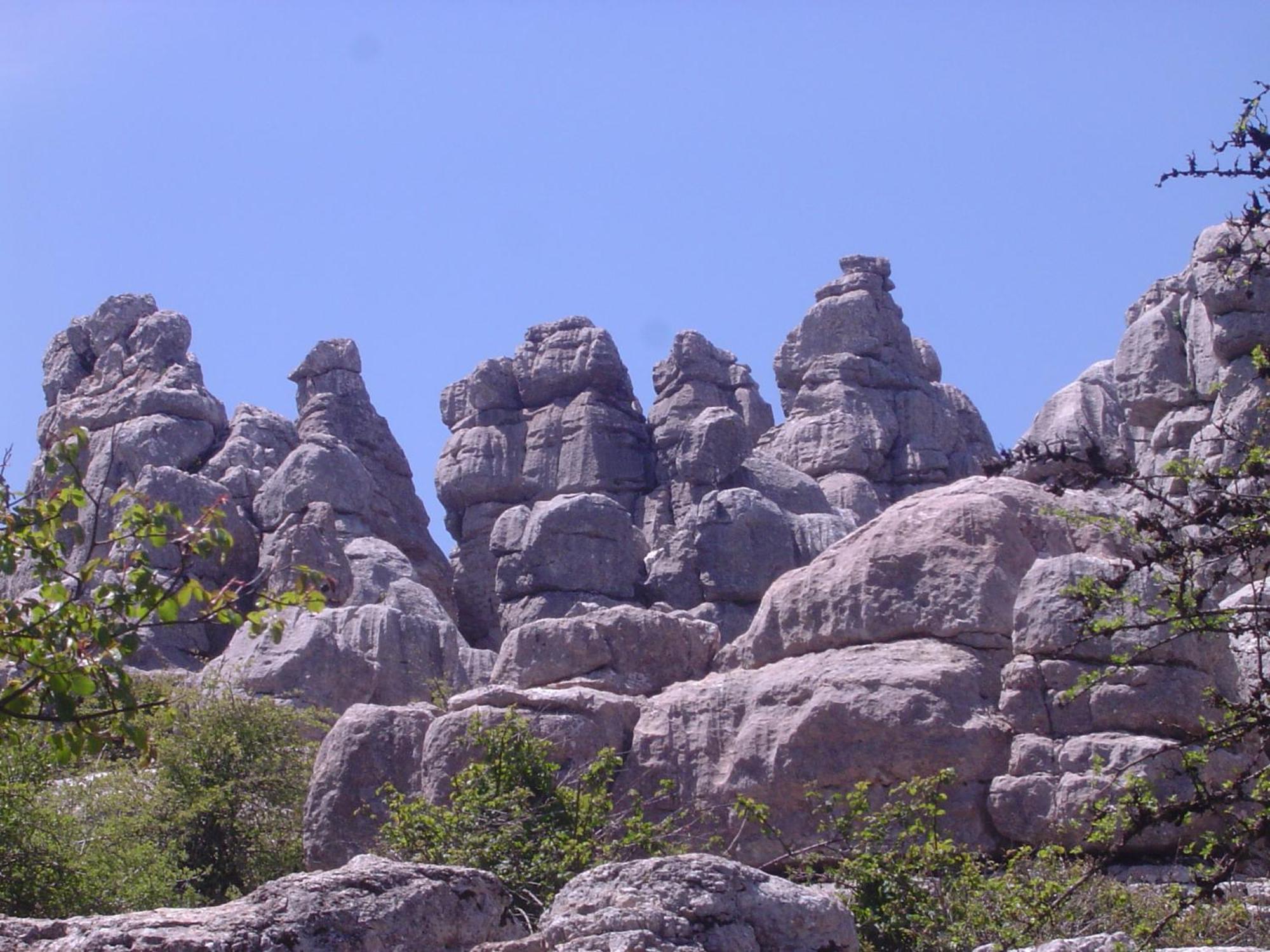 Rural La Paloma