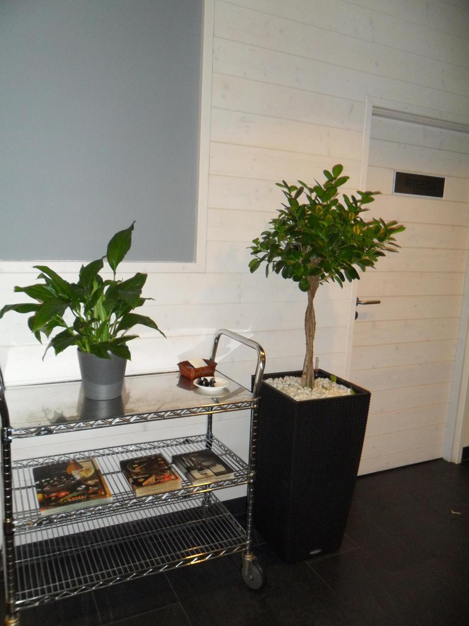 Hotel Anoeta 3*