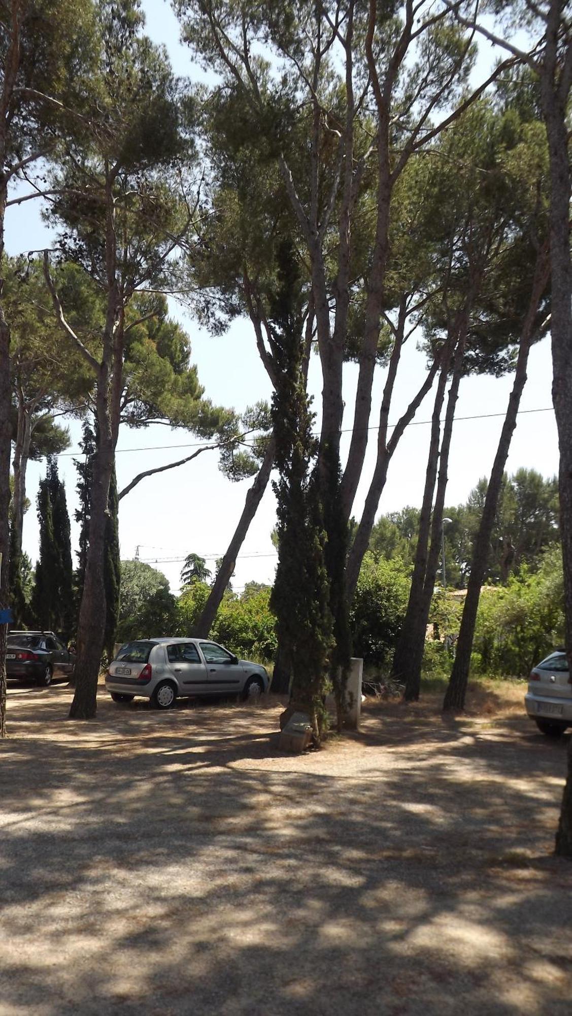 Rvhotels Treumal Park