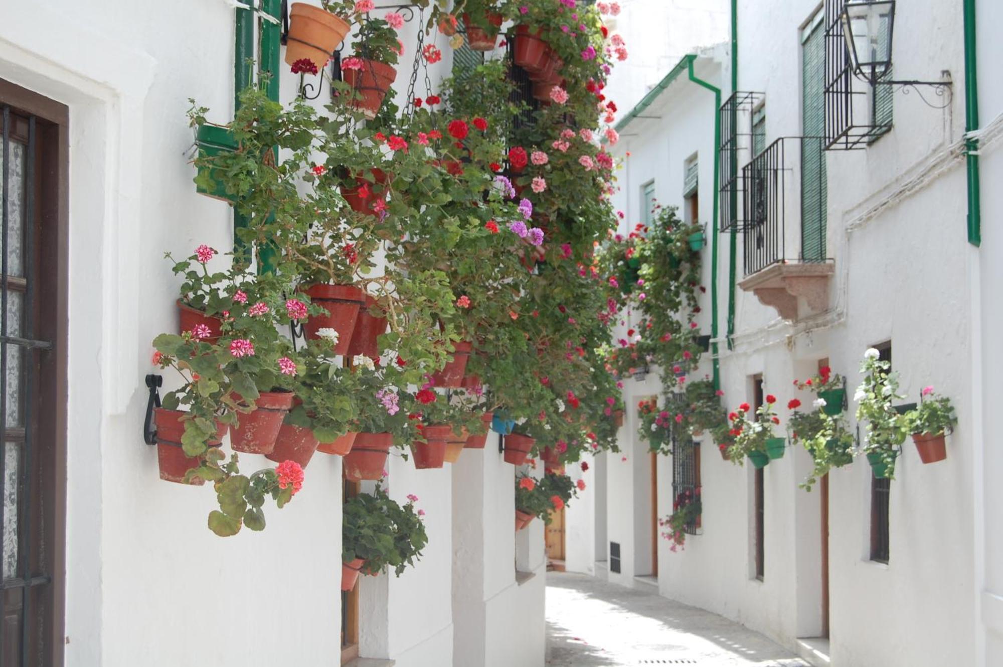 Casa Baños De La Priego de Córdoba