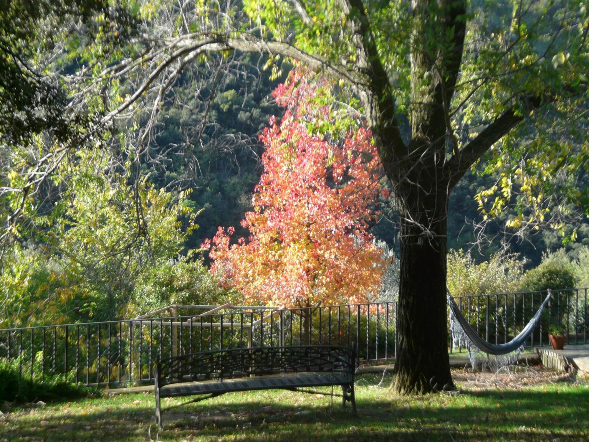 Barrina Montseny