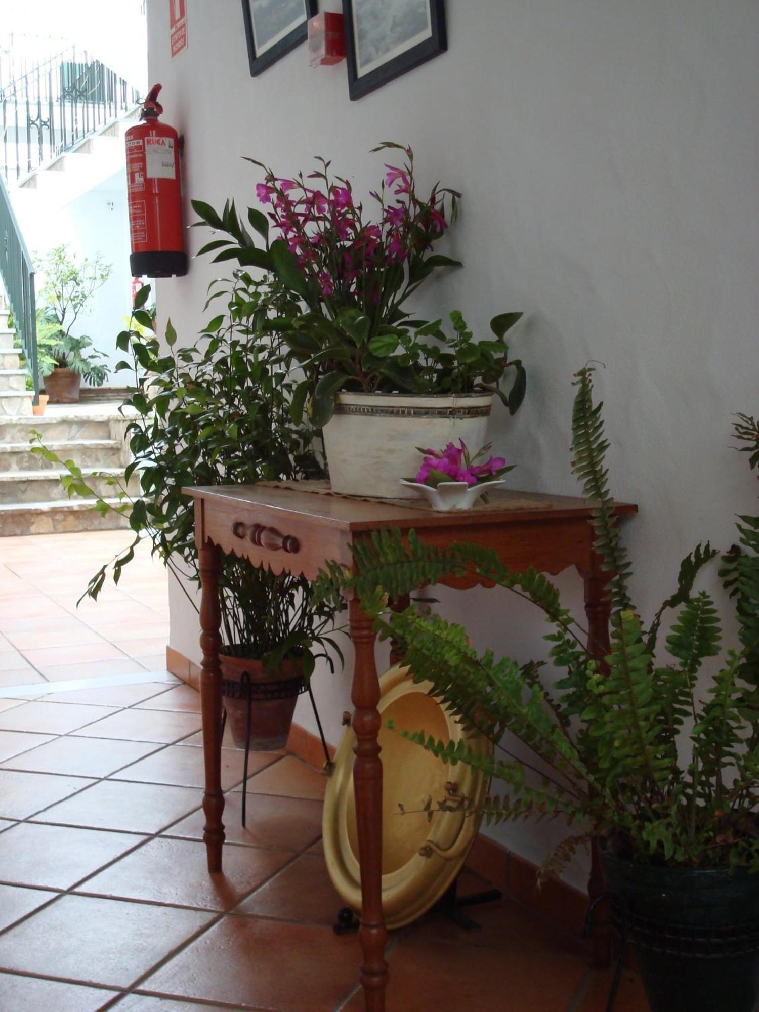 Hotel Almadraba Conil 3*