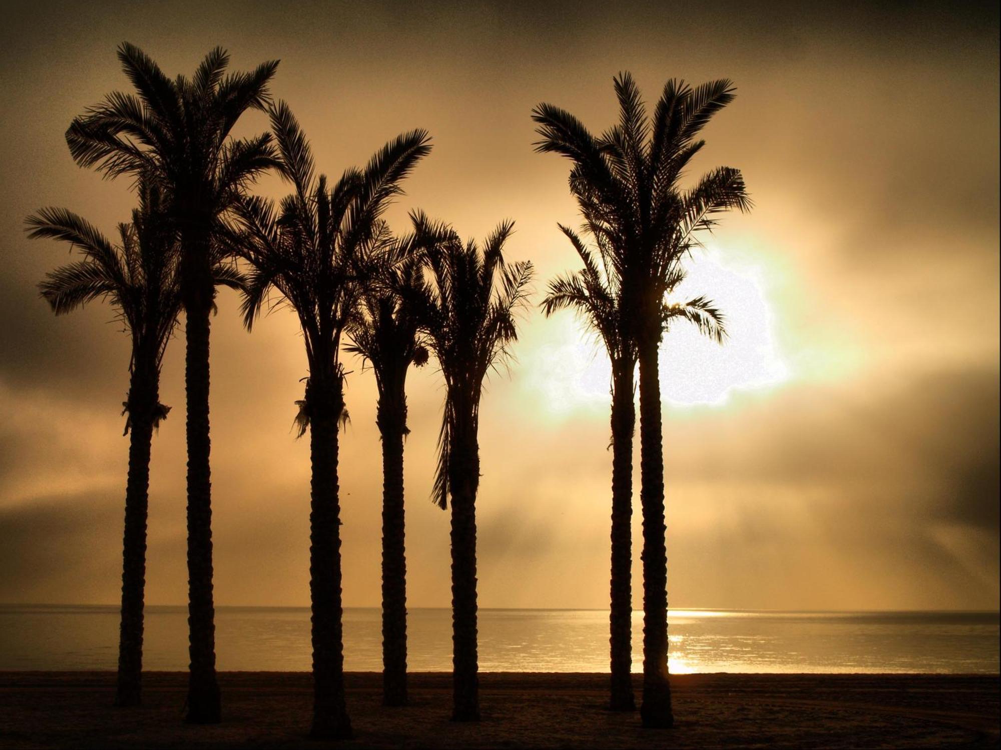 Apartamento Estrella De Mar *