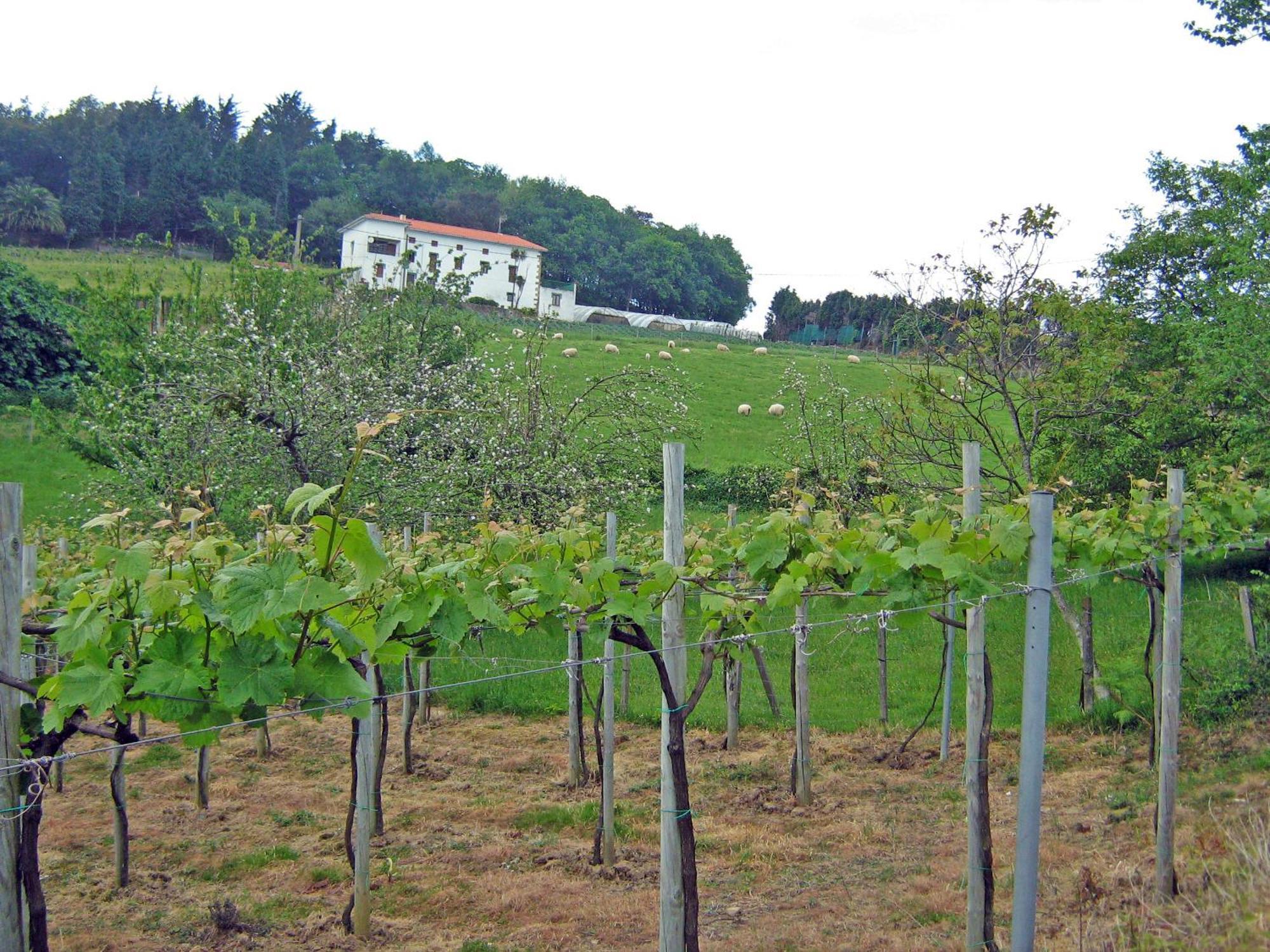 Guest house Getariano 2*