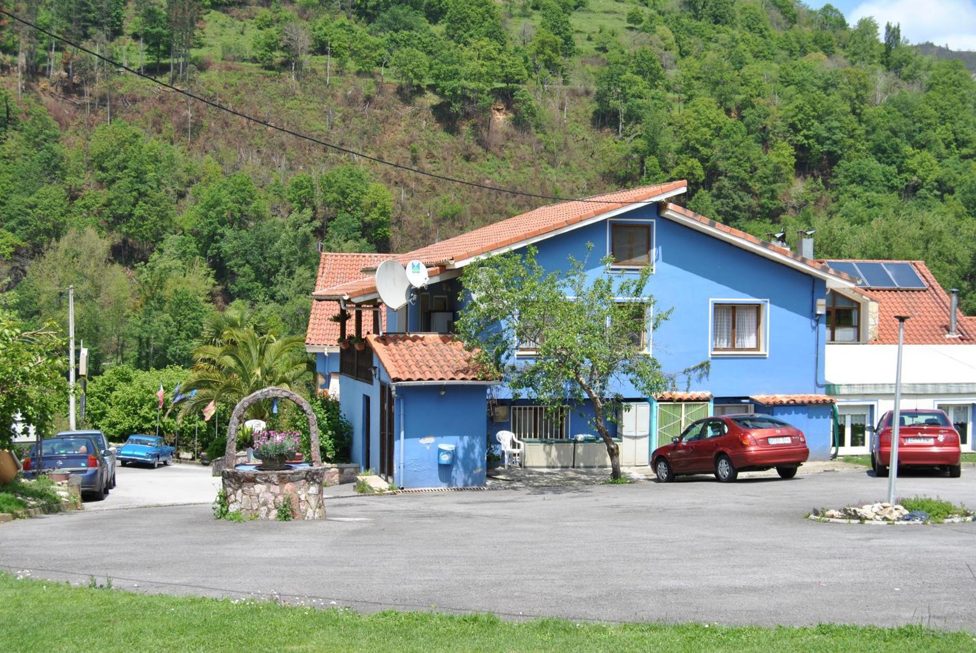 Avelina