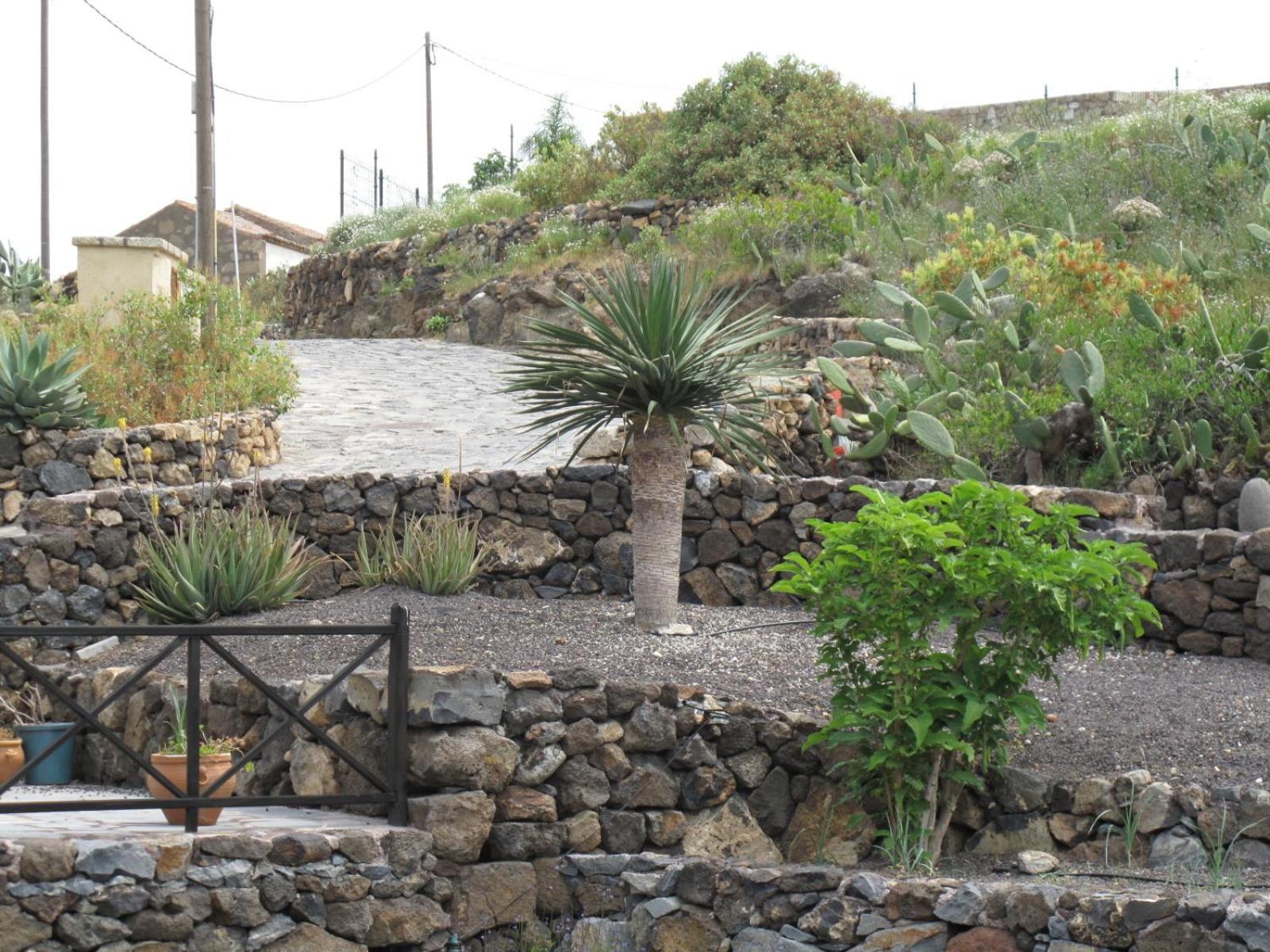 Casa rural Vera De La Hoya San Miguel de Abona