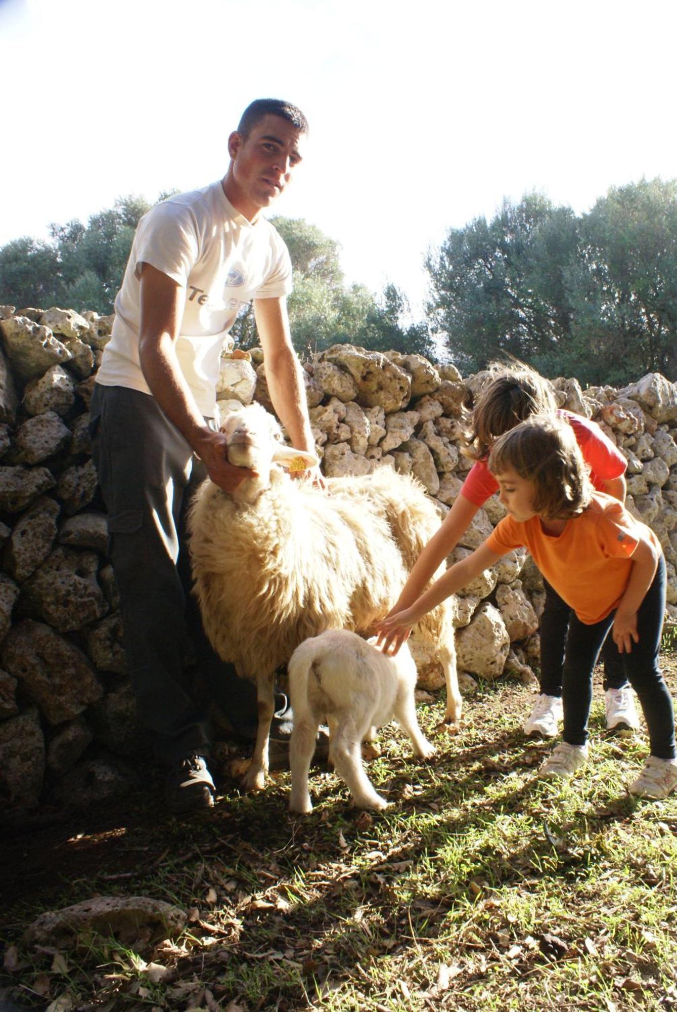Llucmacanes Gran Mahon (Menorca)
