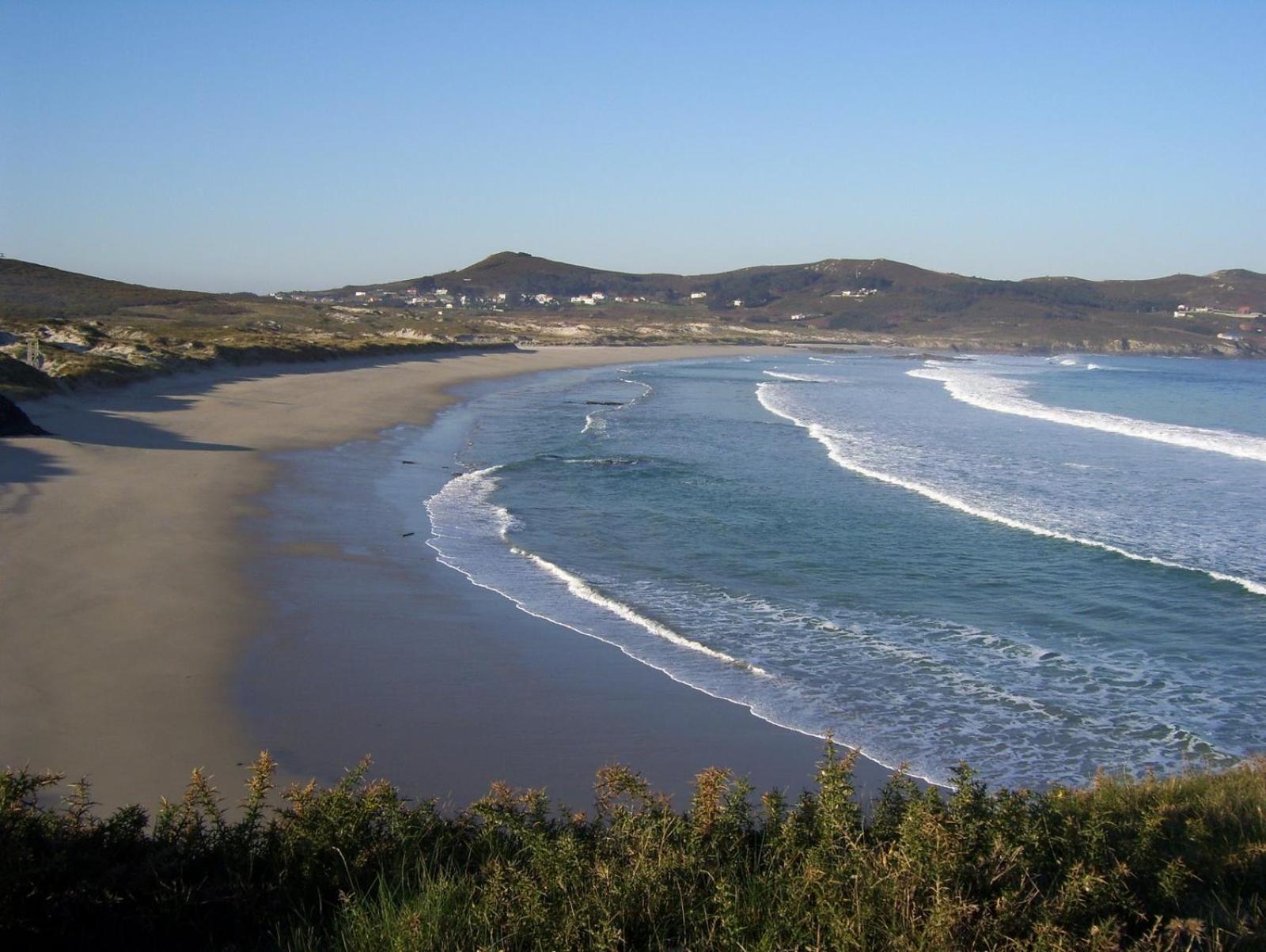 America Ferrol