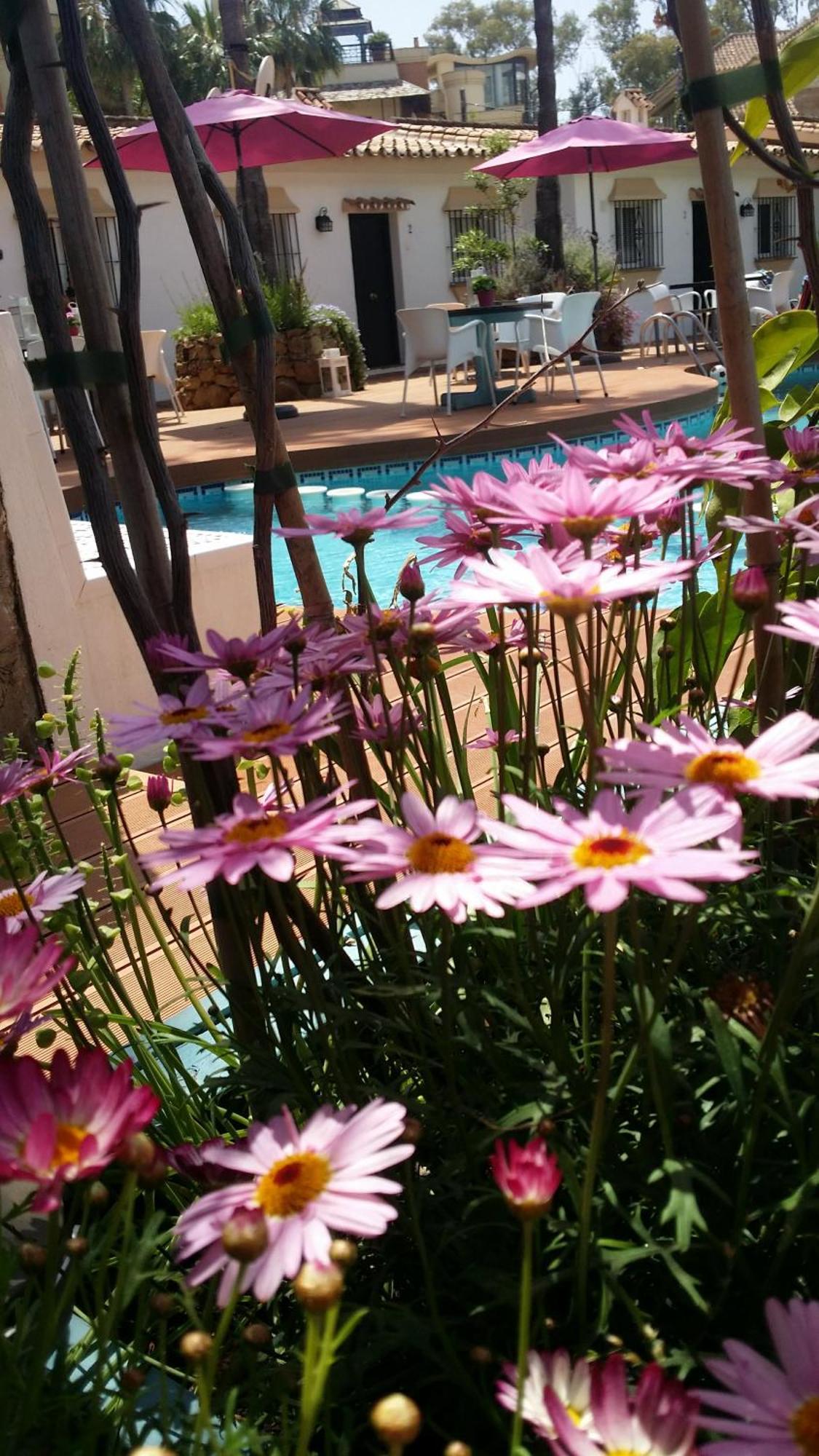 Banus Marbella