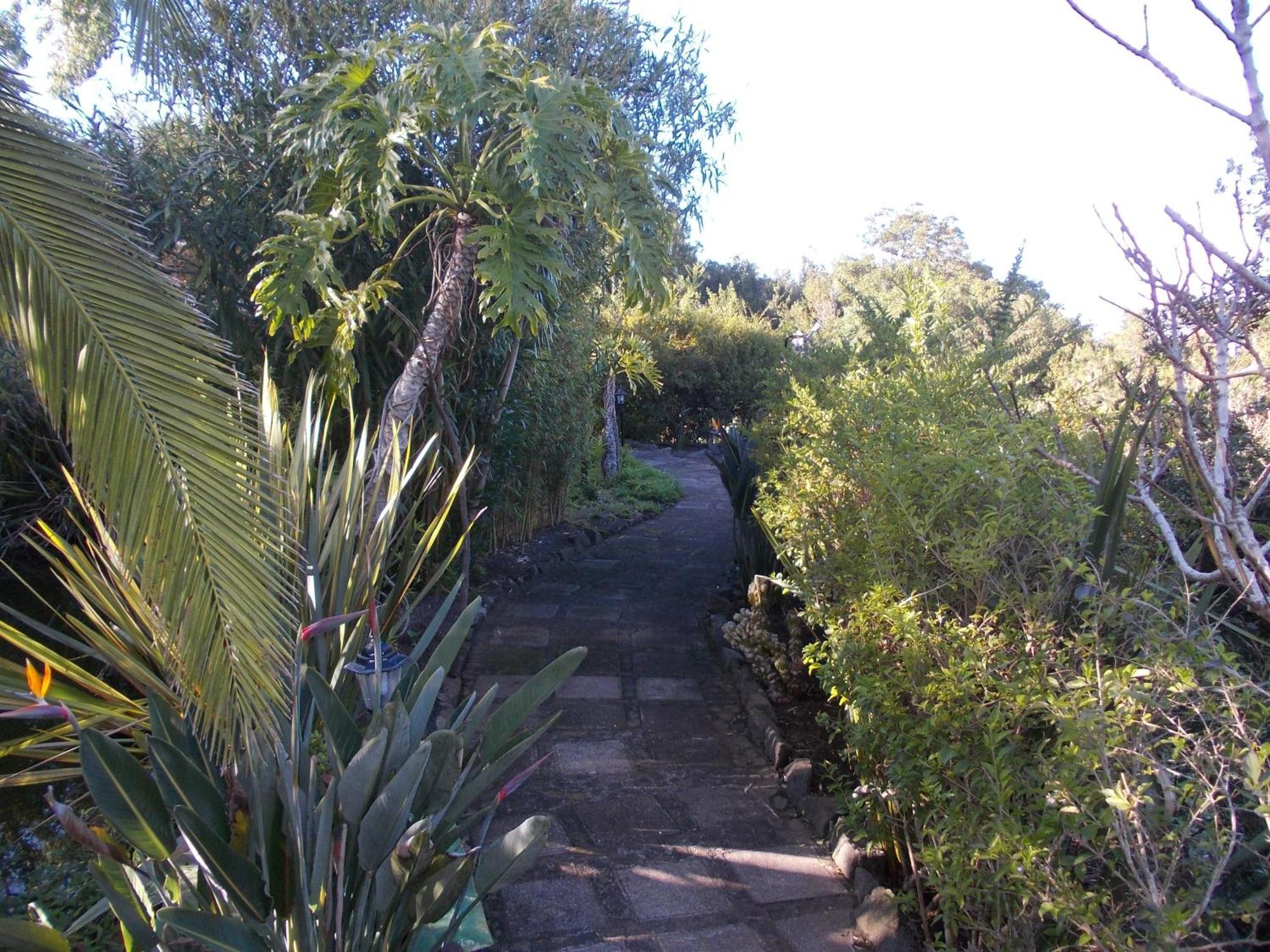 Hotel La Palma Romantica Barlovento
