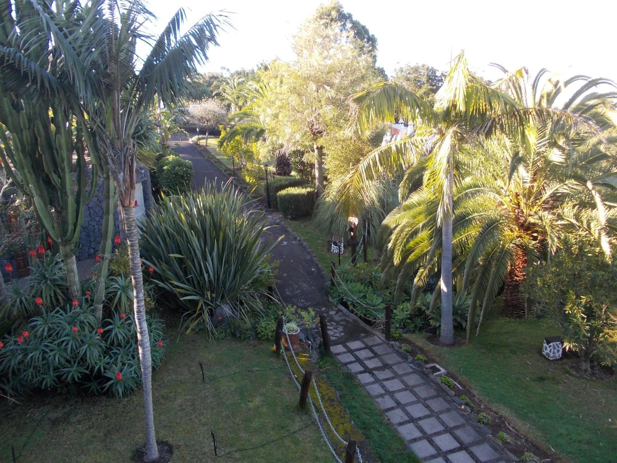 La Palma Romantica Barlovento