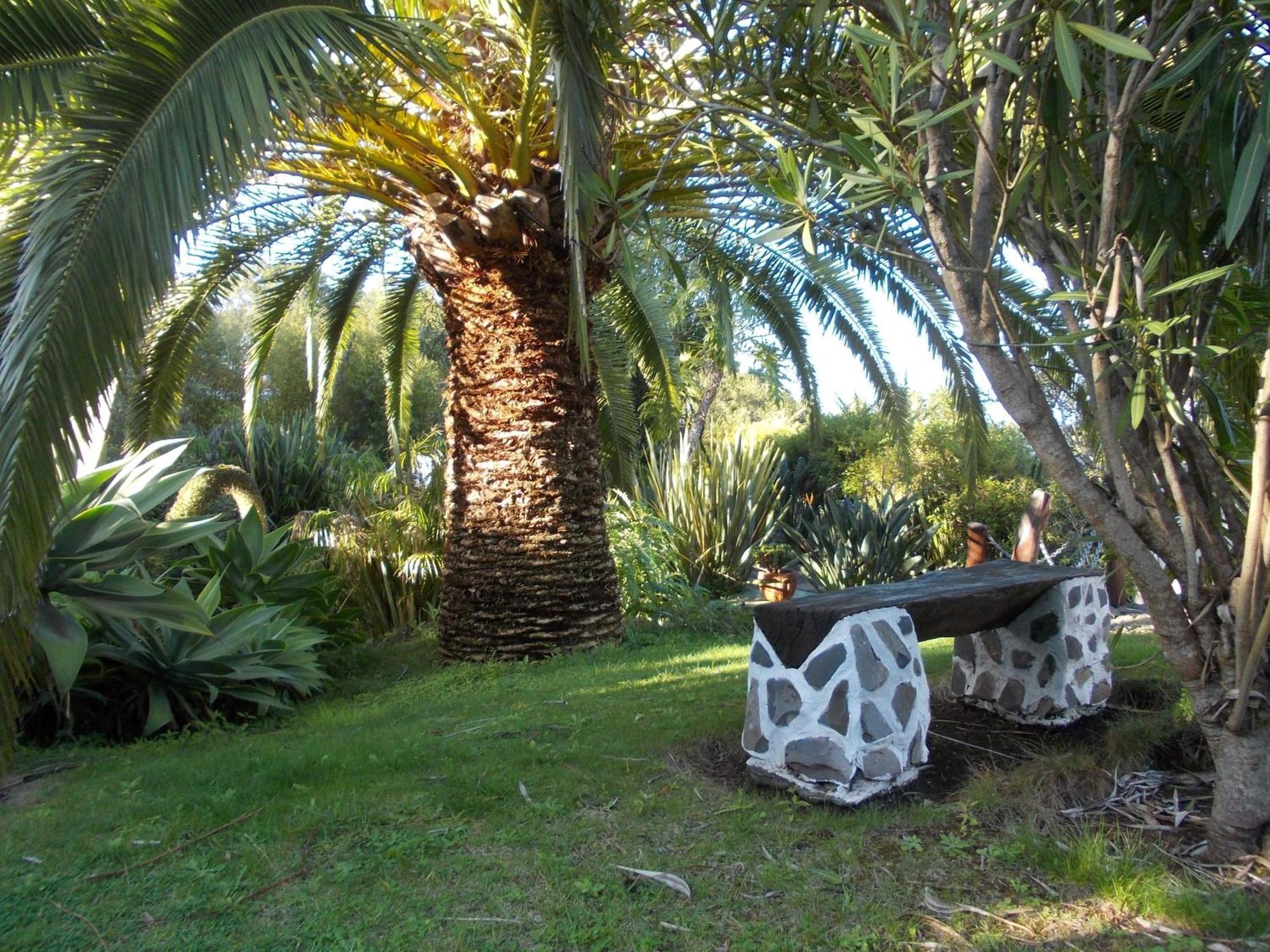 Hotel La Palma Romantica