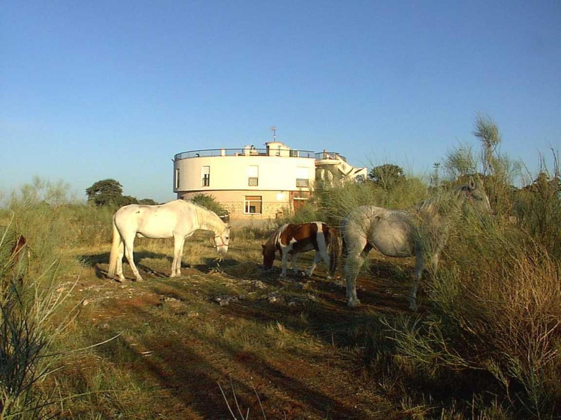 Paraje La Lambra Rus