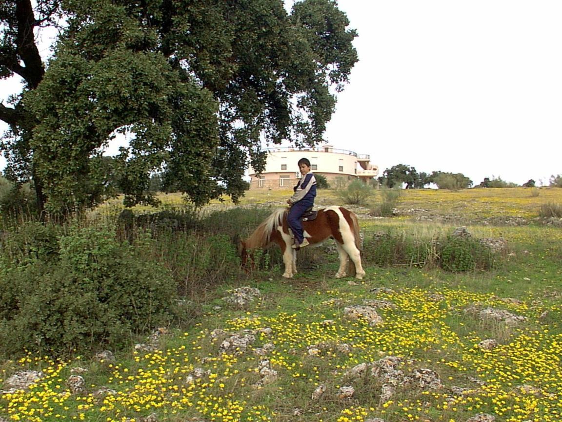 Hotel Paraje La Lambra 3*