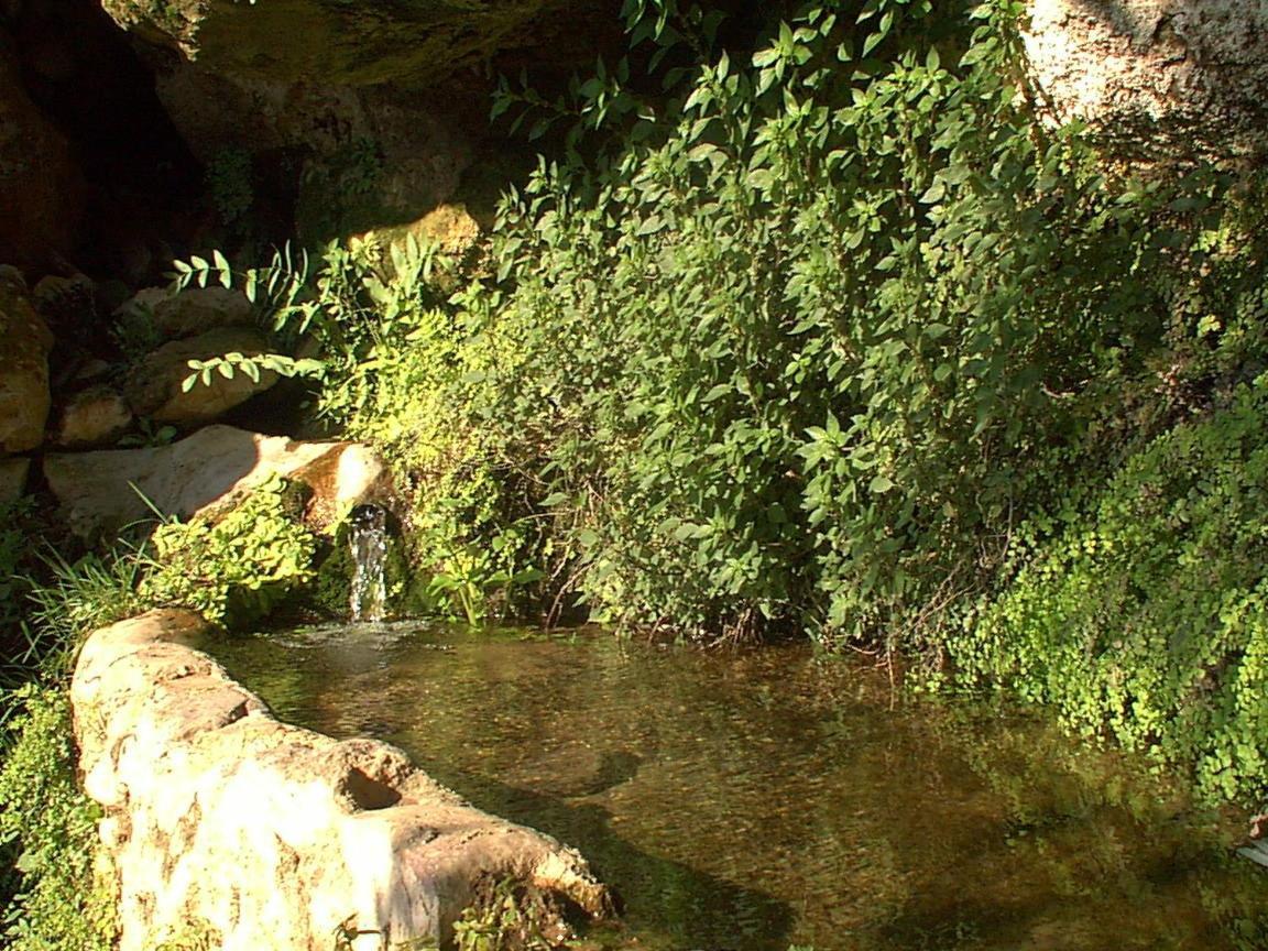 Hotel Paraje La Lambra Rus