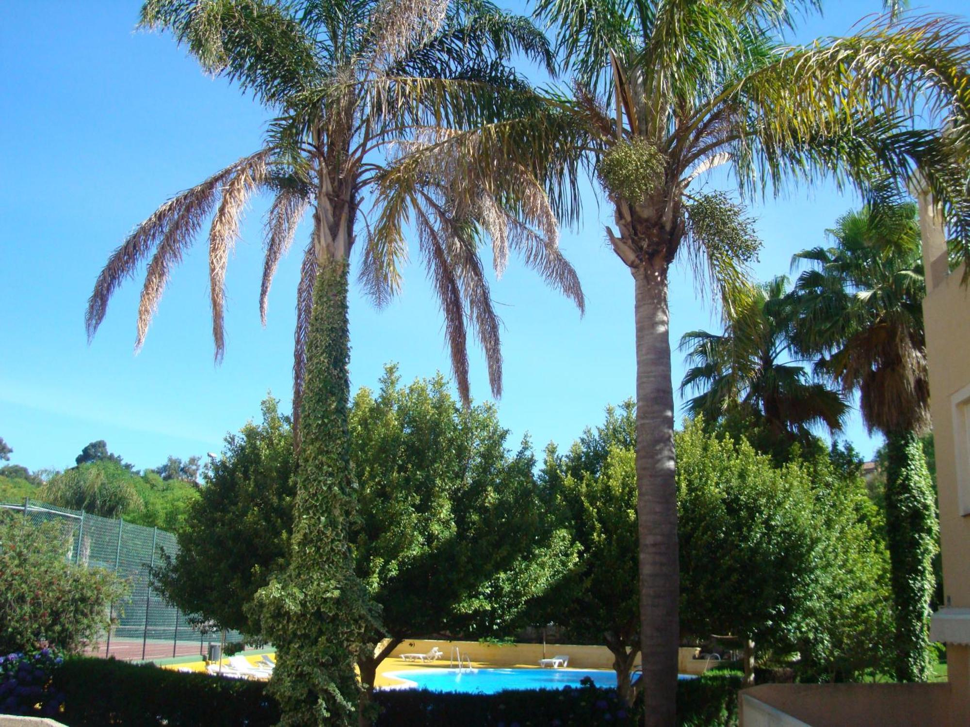 Apartamento Islantur Américas Islantilla