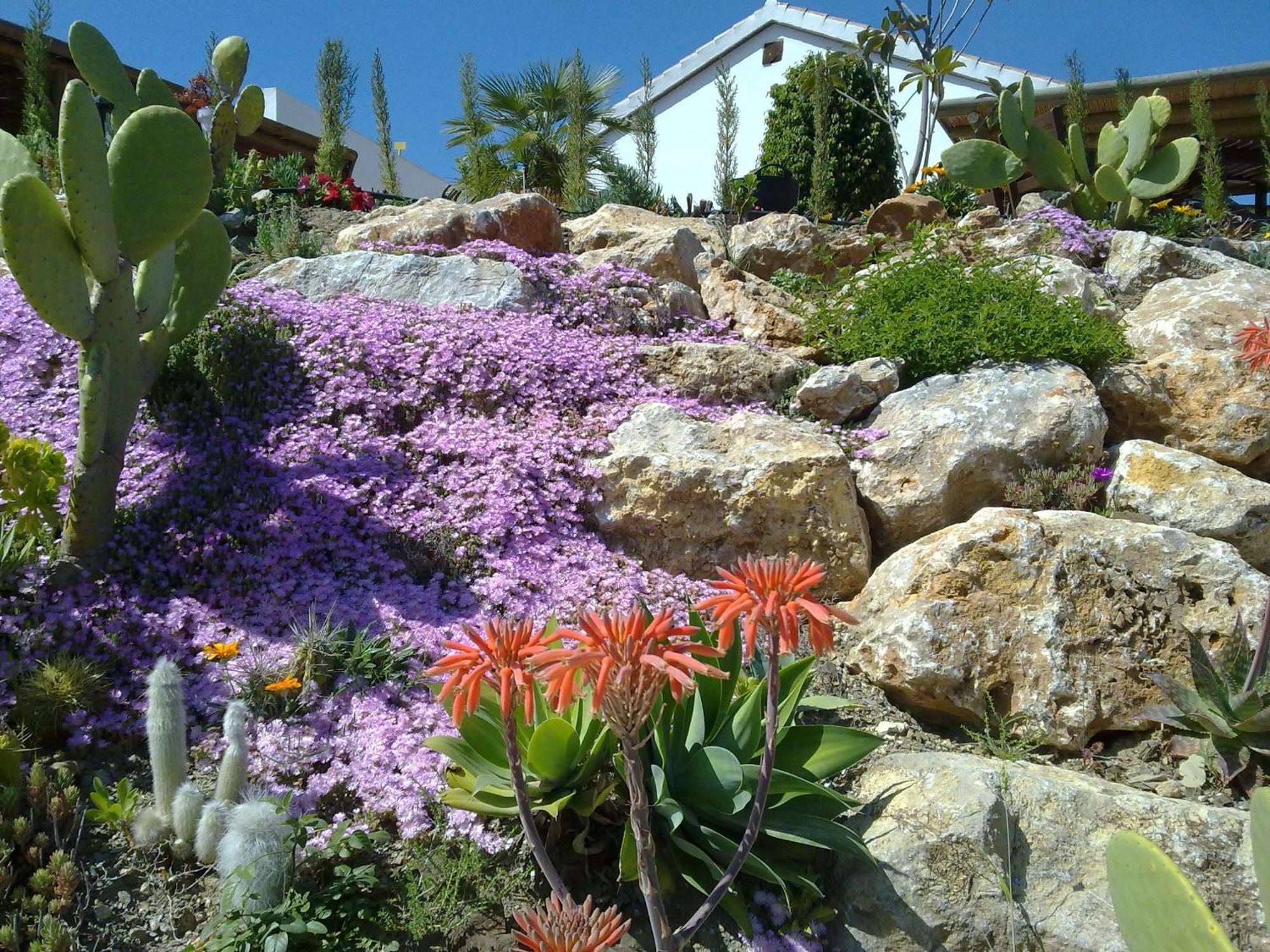 Bed & Breakfast | Casa Don Carlos Alhaurin el Grande