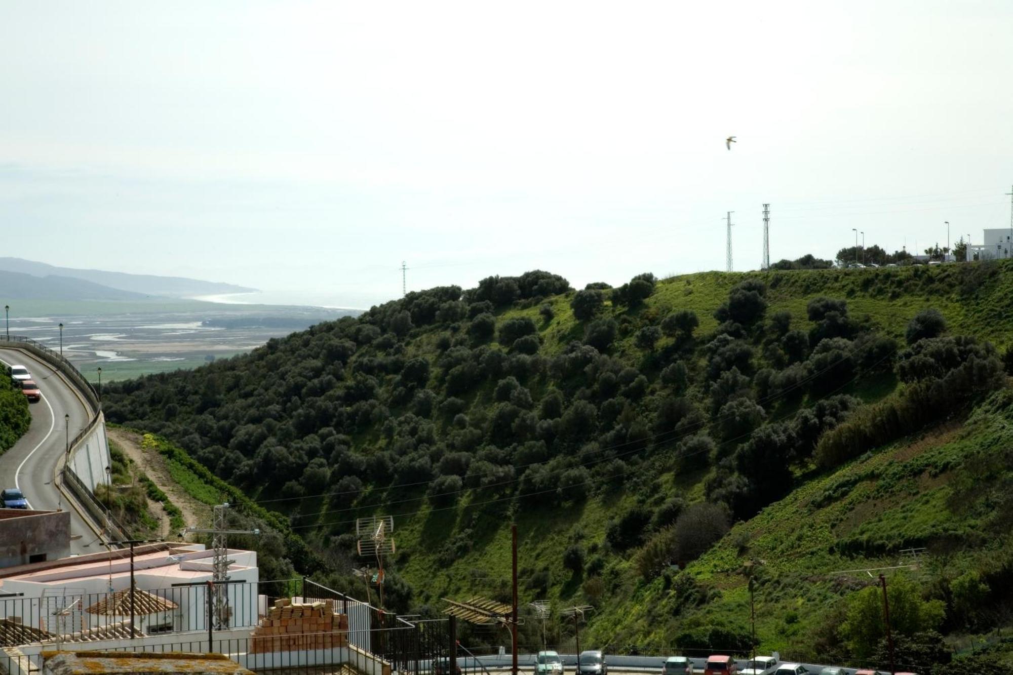 Reysan Vejer de la Frontera