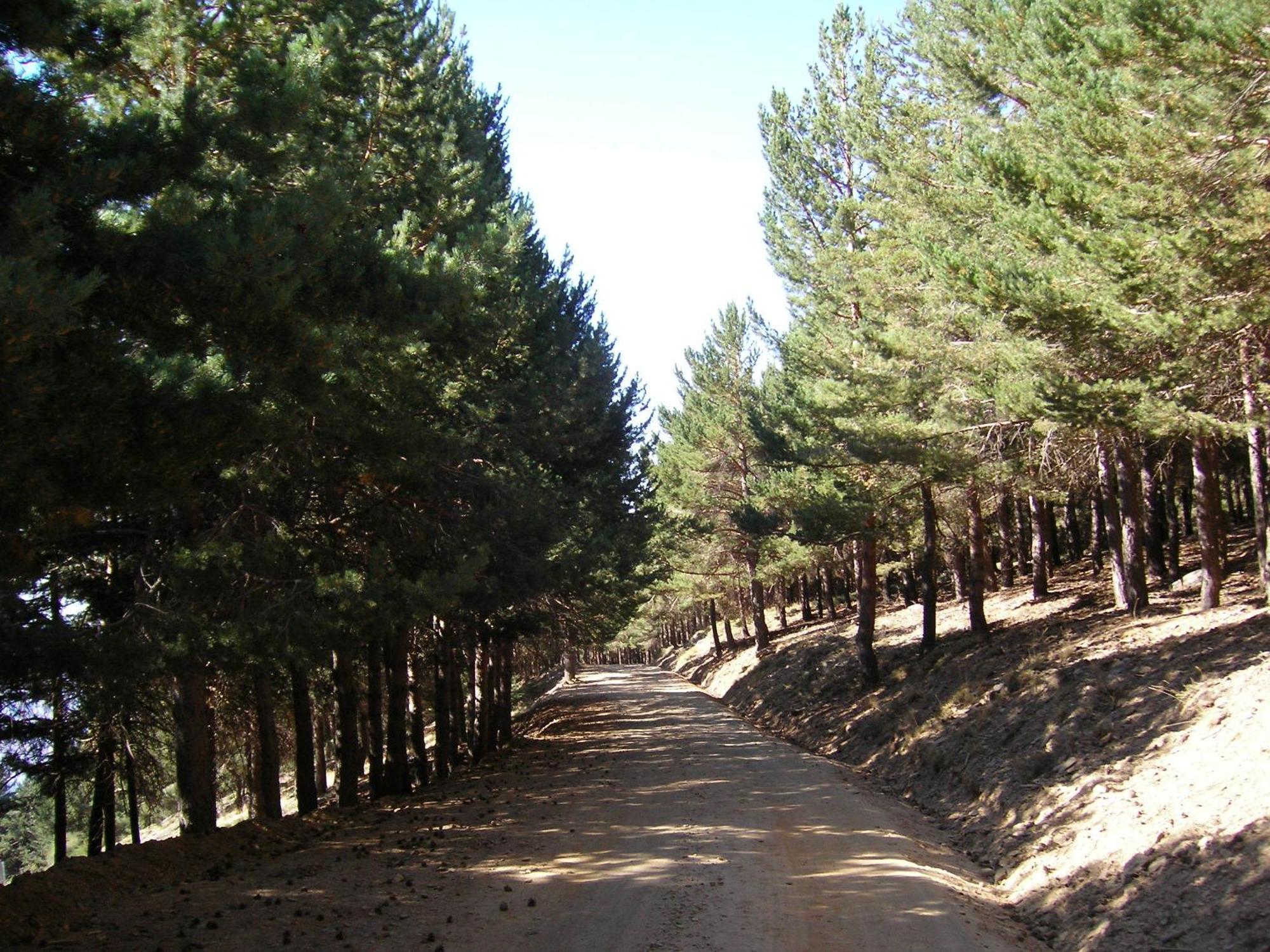 Hotel Rural Poqueira 2*