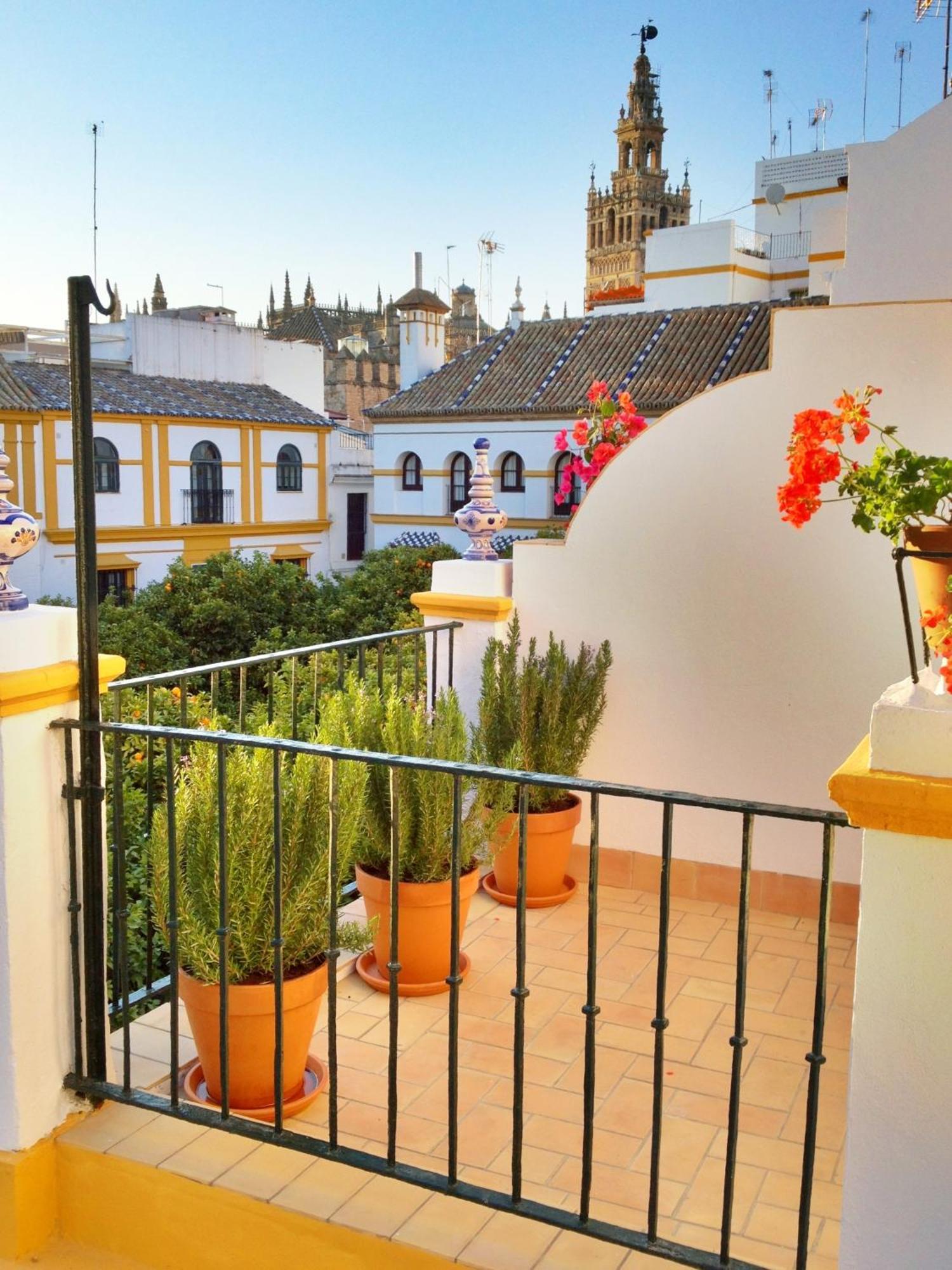 Hotel Boutique Elvira Plaza 3*