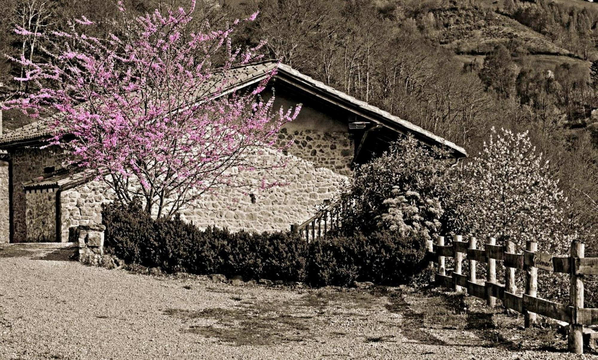 Country house La Casona De Mestas De Con