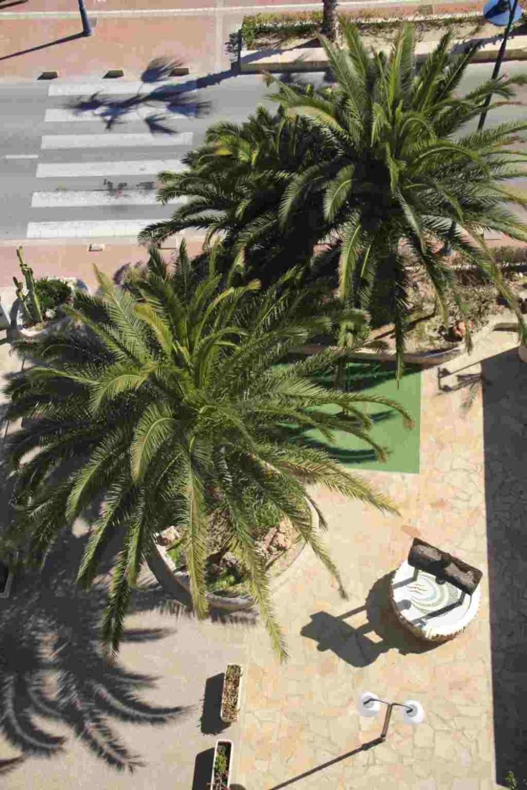Apartment Florida Ii *