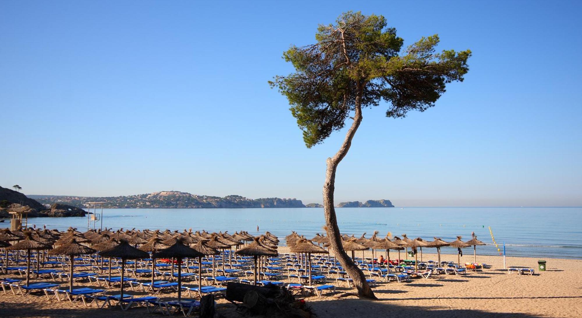 Apartamento Petit Blau