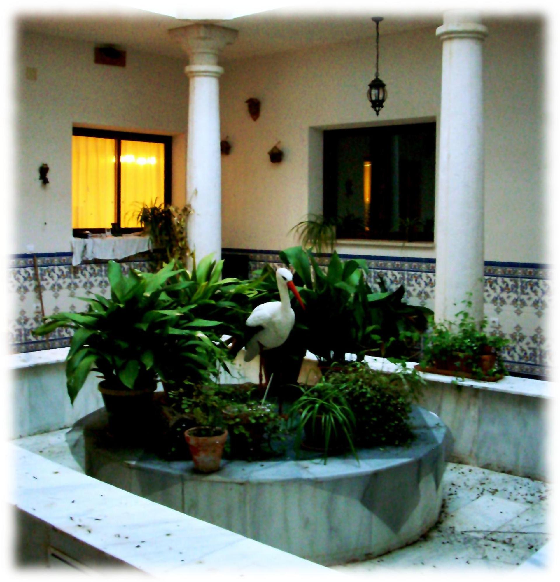 Centro Ornitológico El Primillar