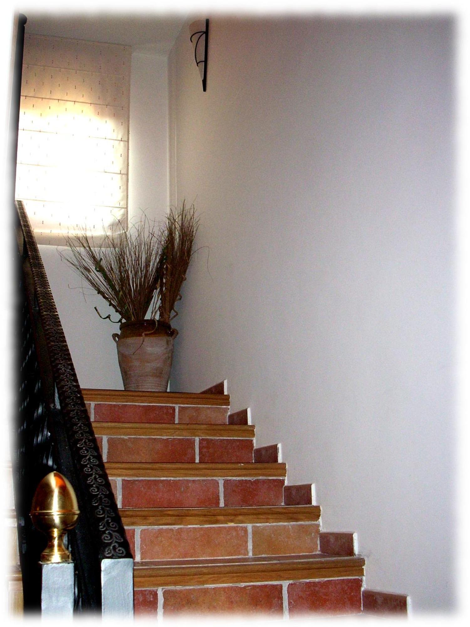 Centro Ornitológico El Primillar