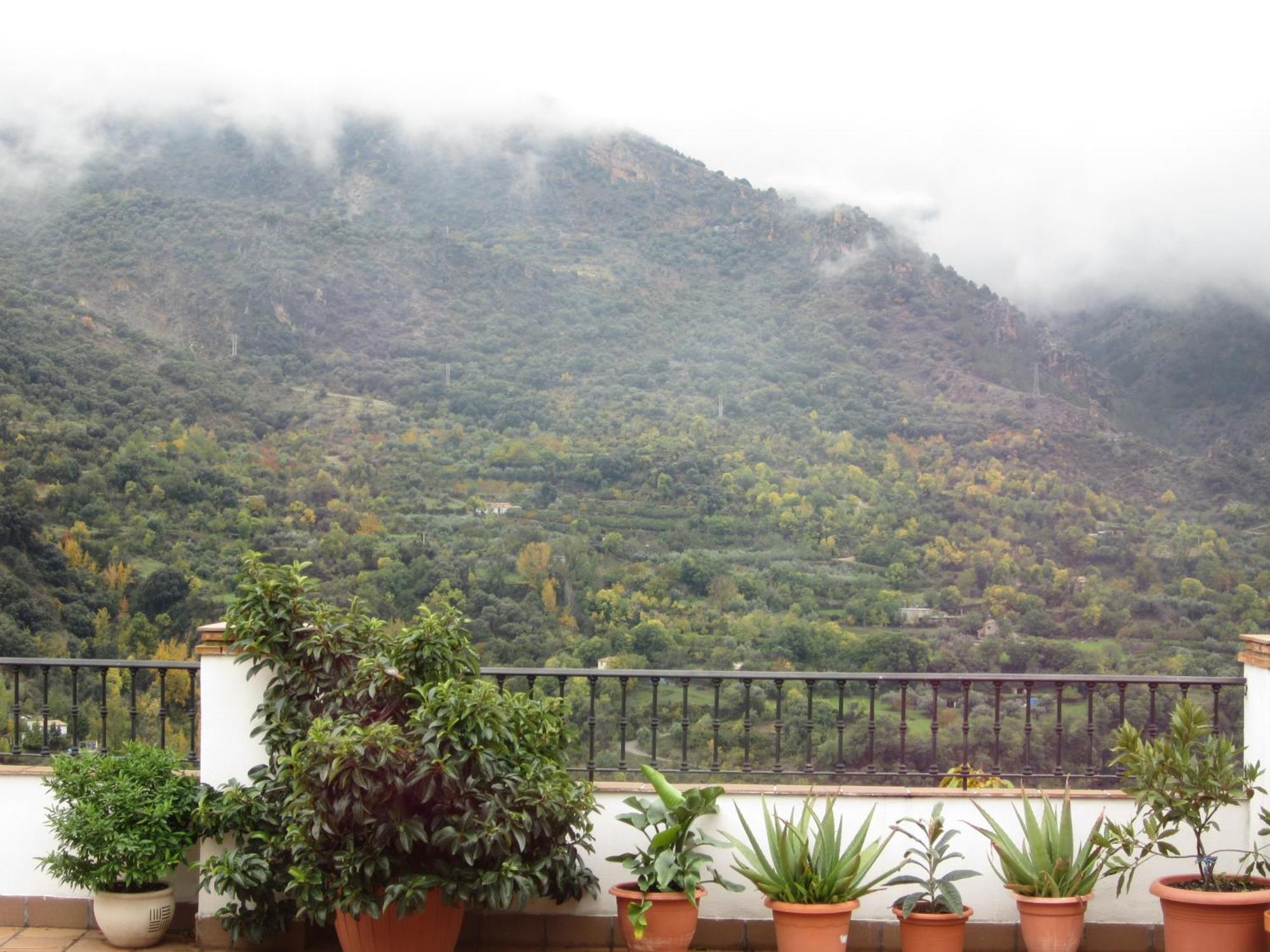 Apartment Haza La Moraleda