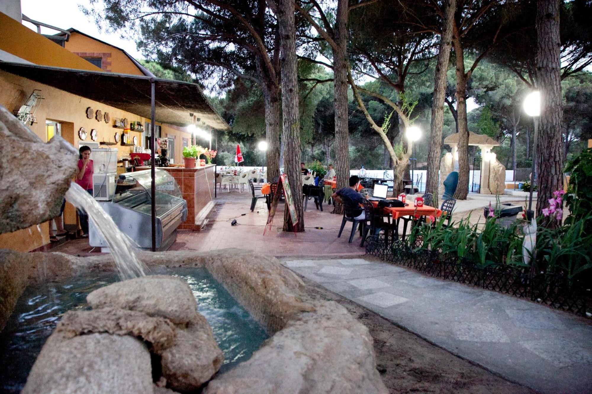 Camping Vejer