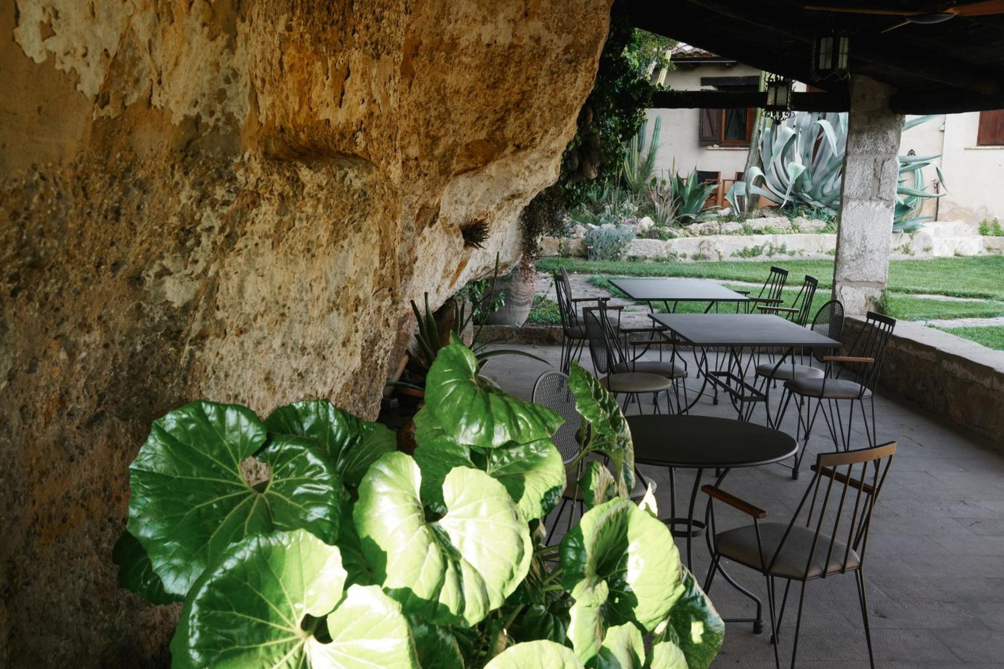 Hort De Fortunyo Arnes