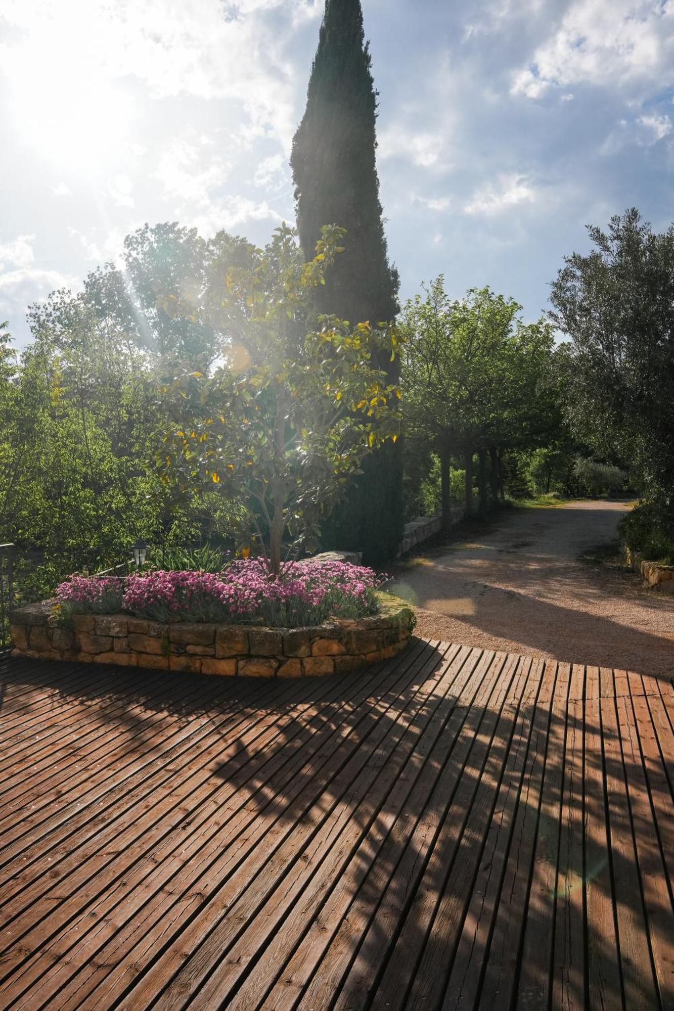 Hotel Hort De Fortunyo Arnes
