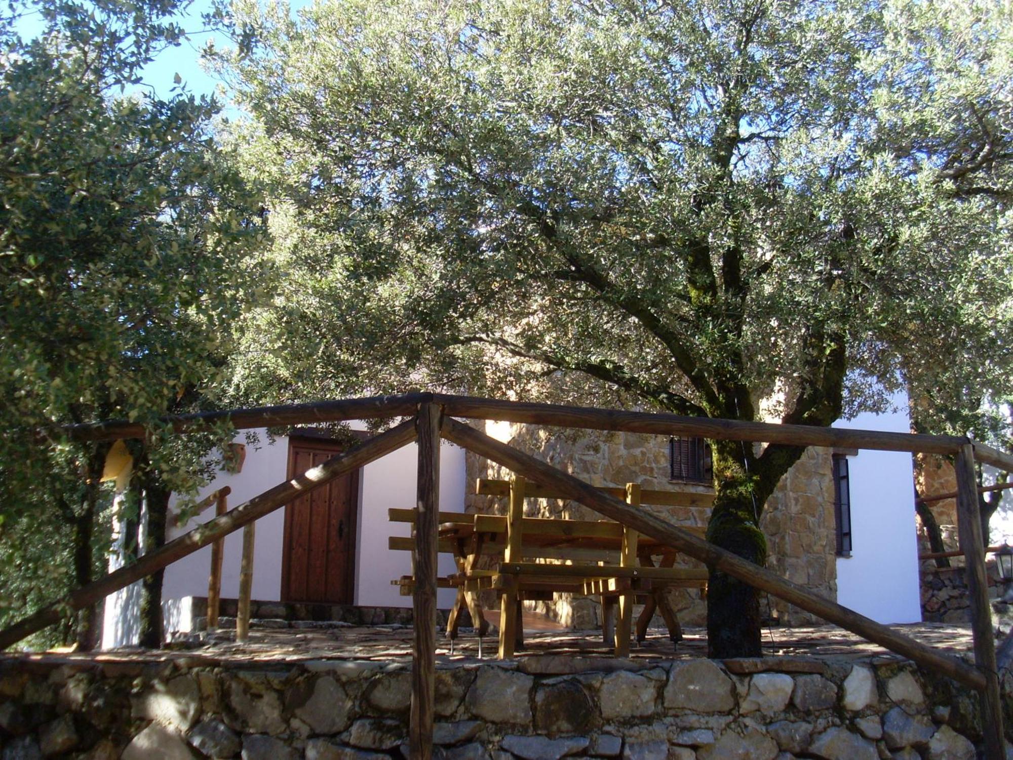 Country house Cortijos El Encinar Torres (Jaen)