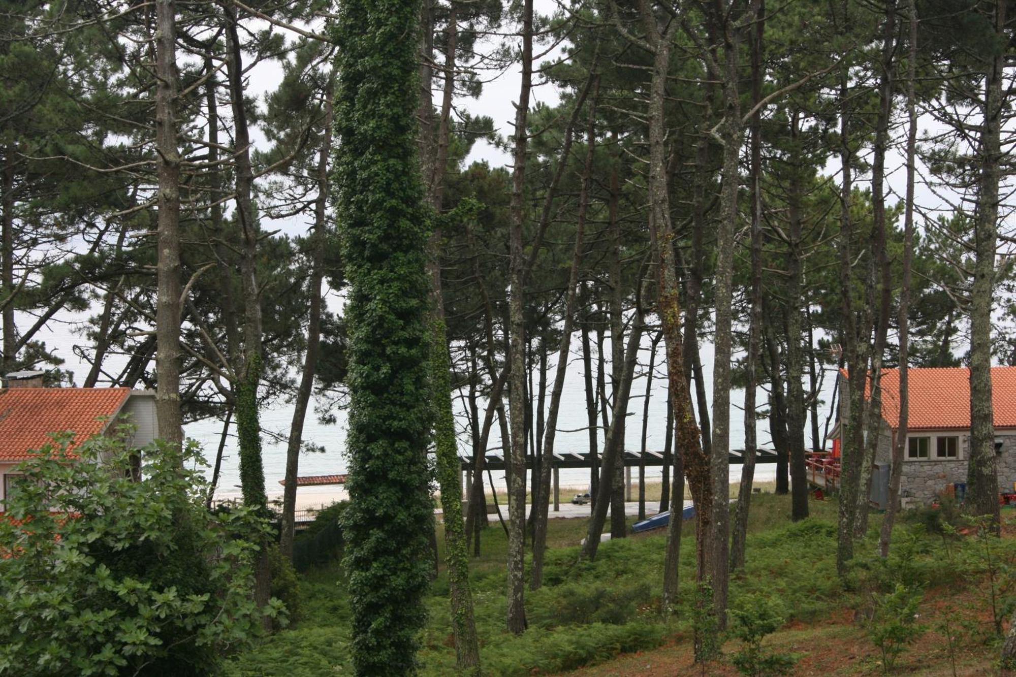 Alen Do Mar