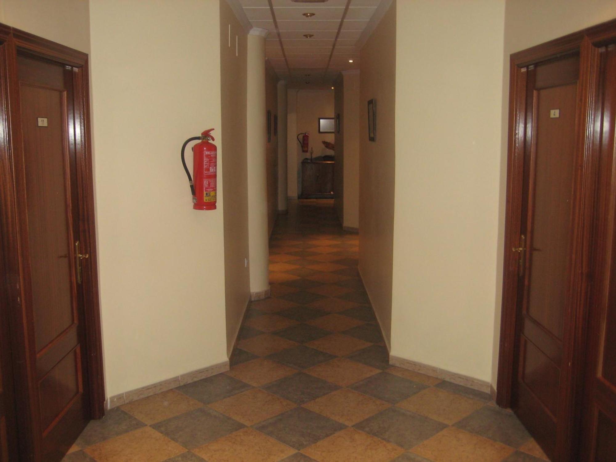 El Pinar