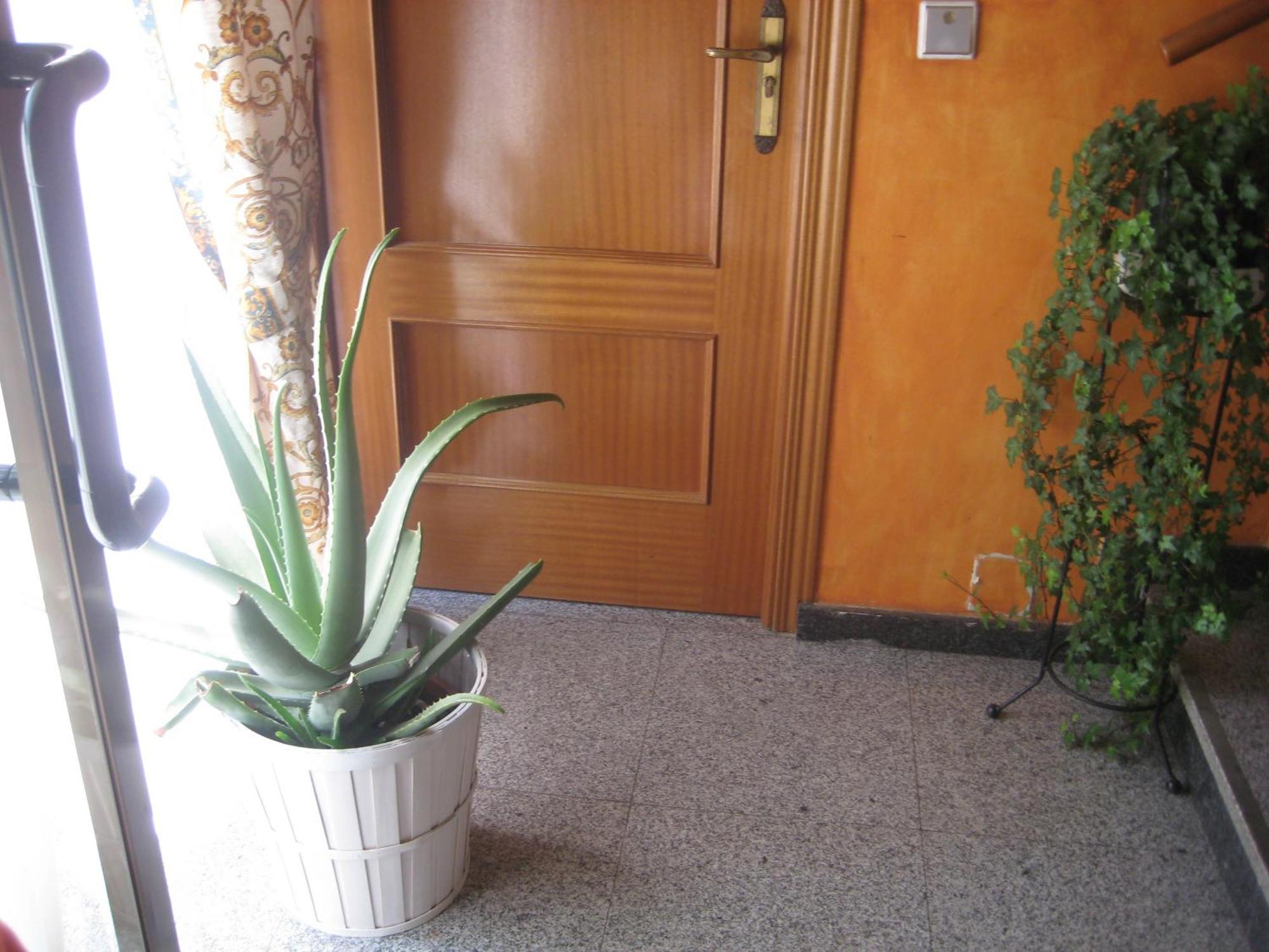 Guest house El Pinar 2*