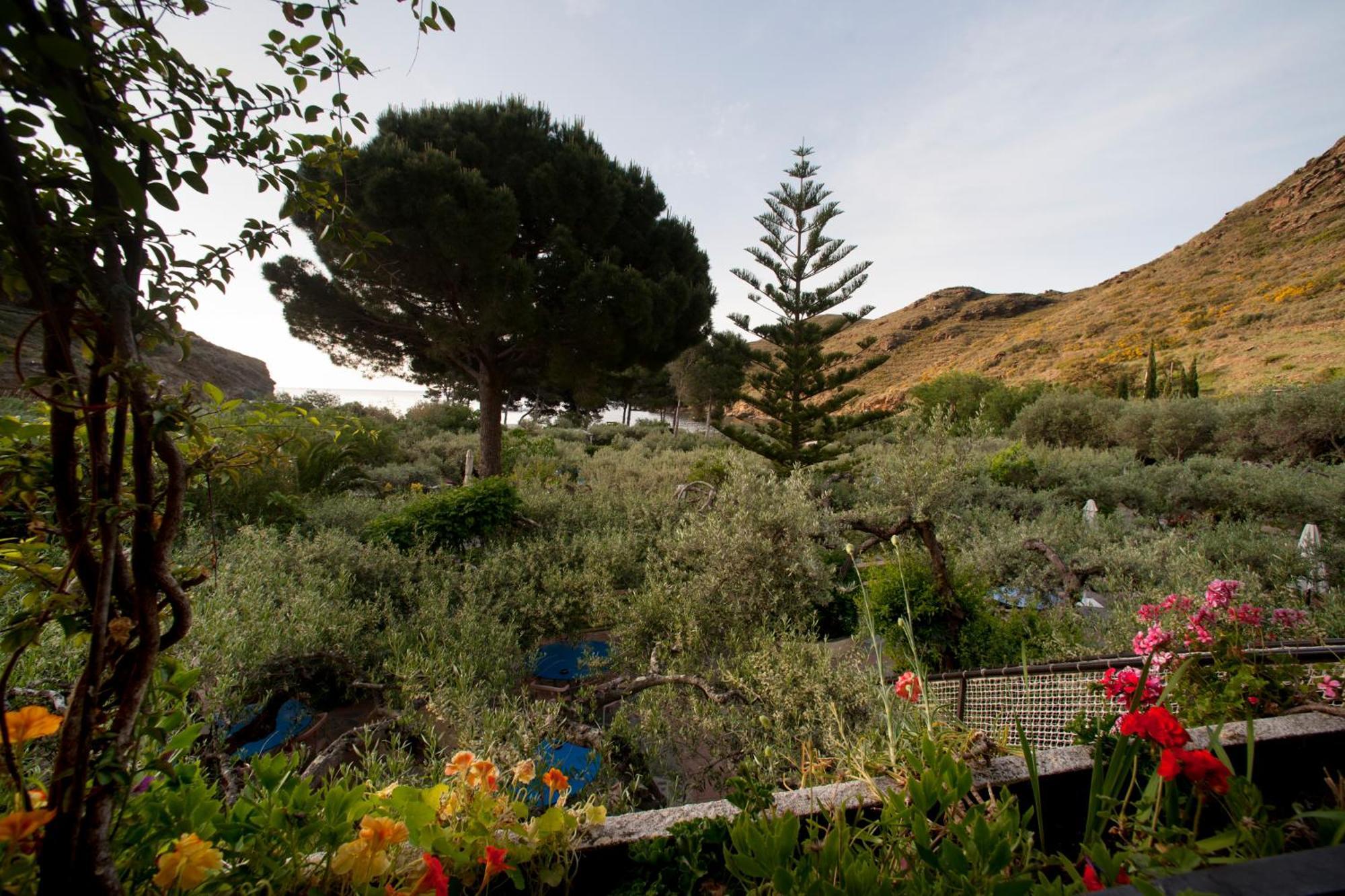 Hotel Cala Joncols