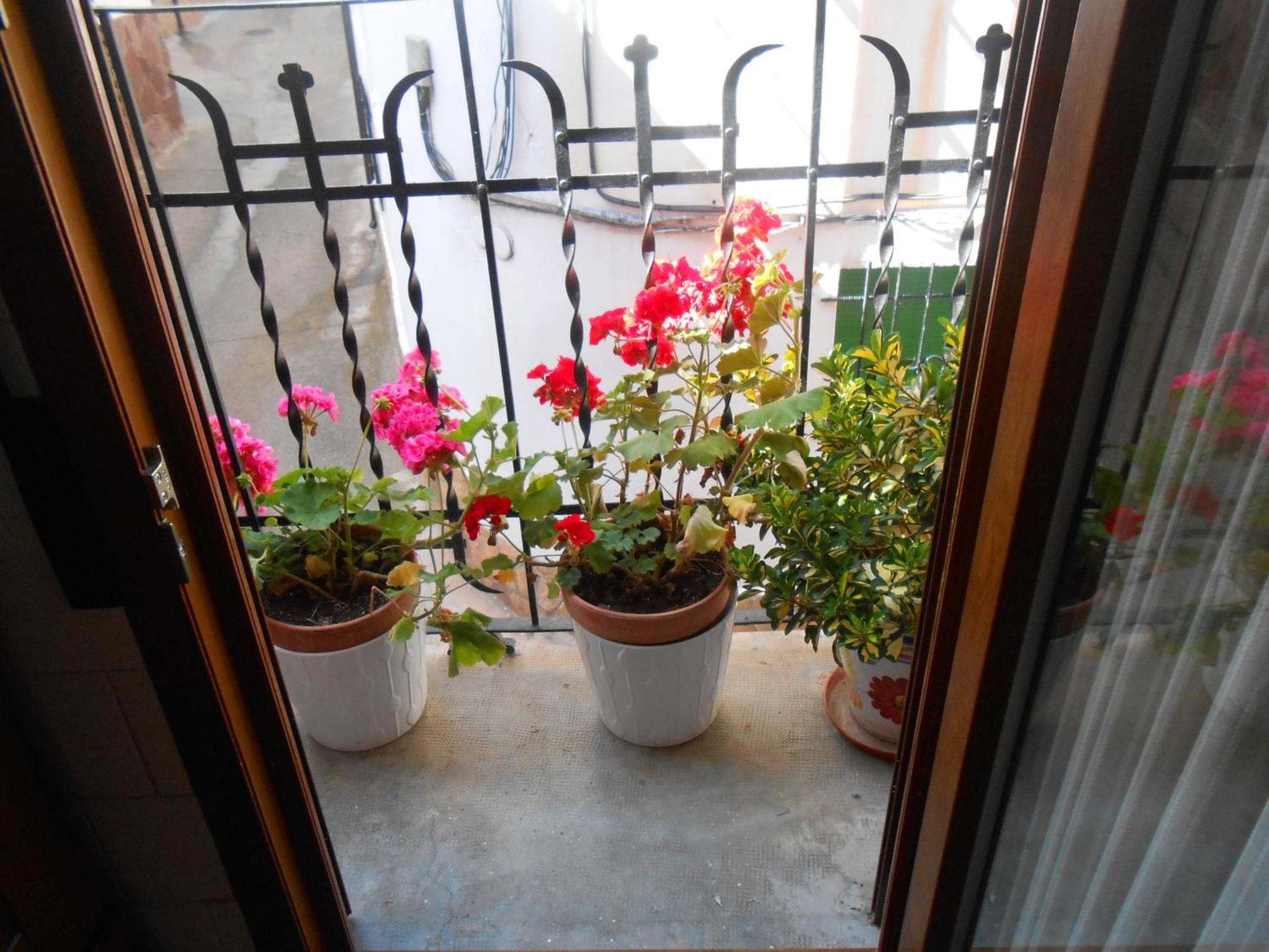 Сasa de vacaciones Casa Navarrete El Cuervo (Aragon)