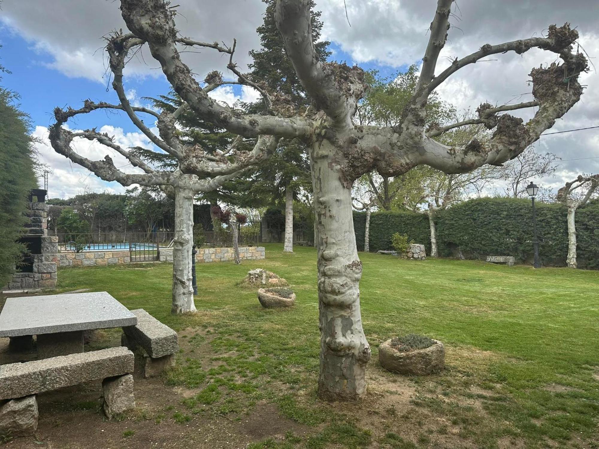 Country house El Cordel