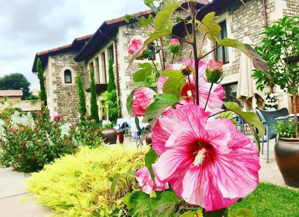 Farm stay La Fuentona De Santillana Santillana del Mar